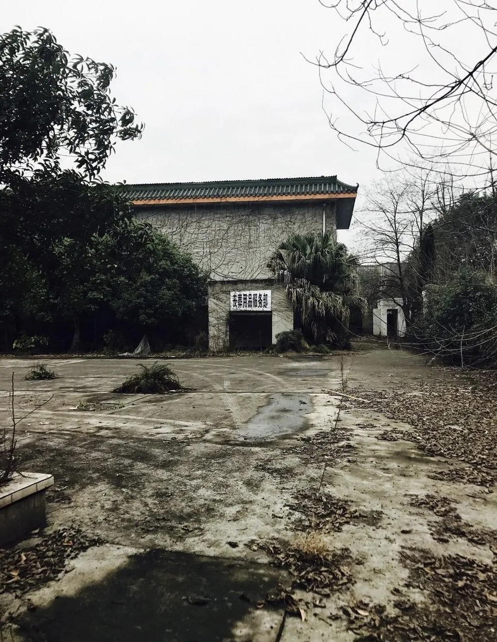 成都的朋友,谁知道这个废弃殡仪馆的位置?