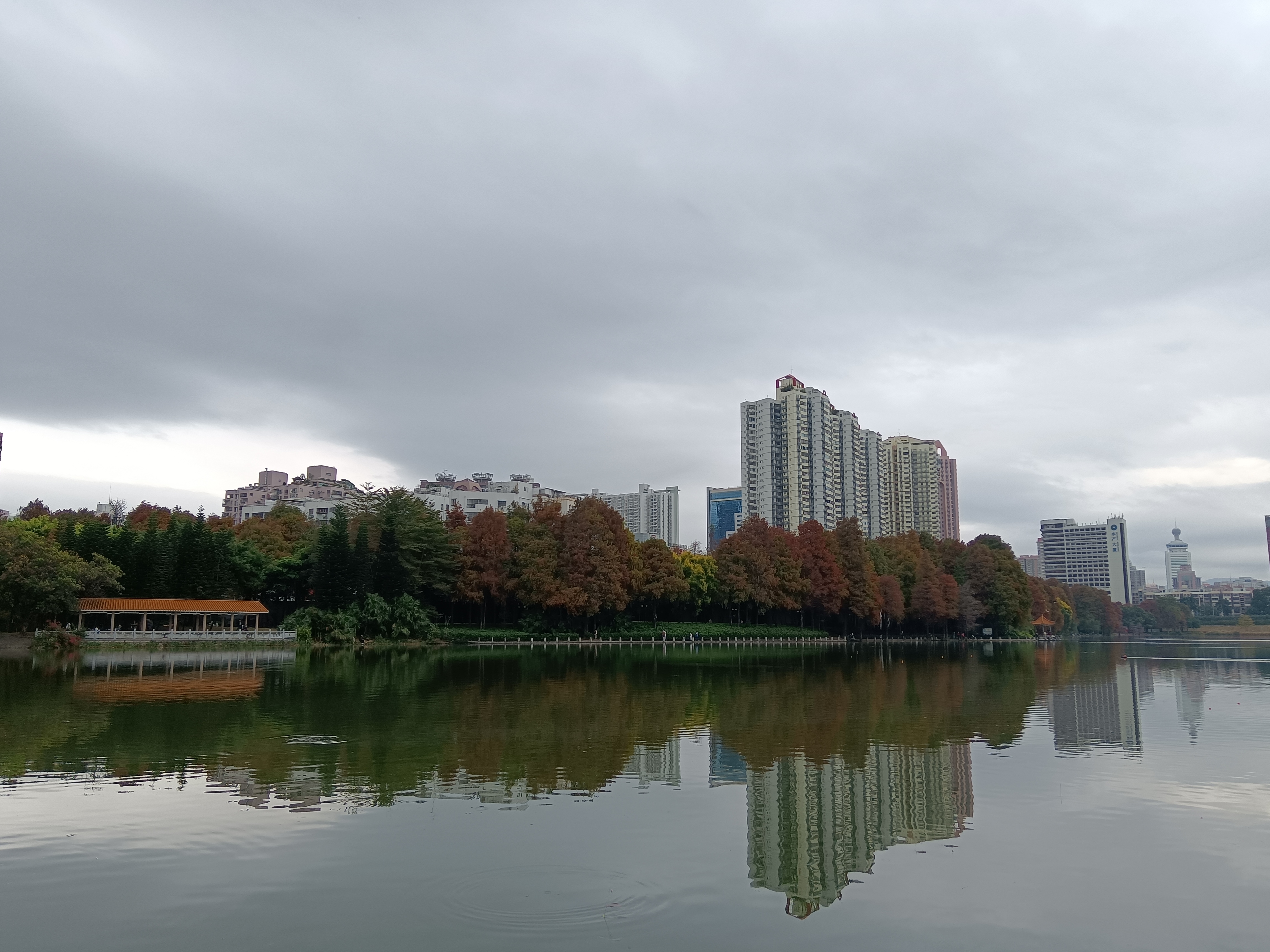 深圳冬天图片景色图片