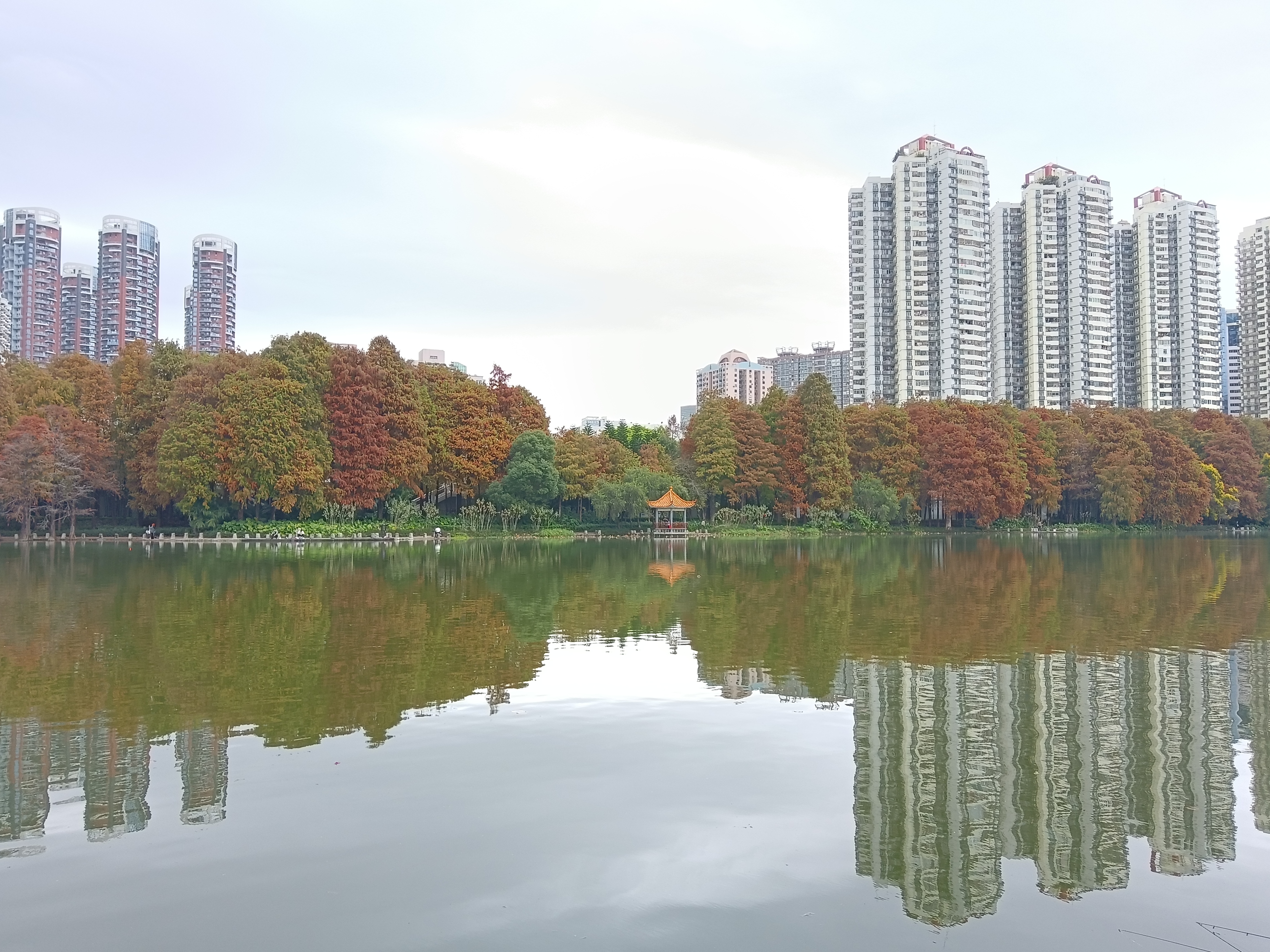 深圳冬天图片景色图片