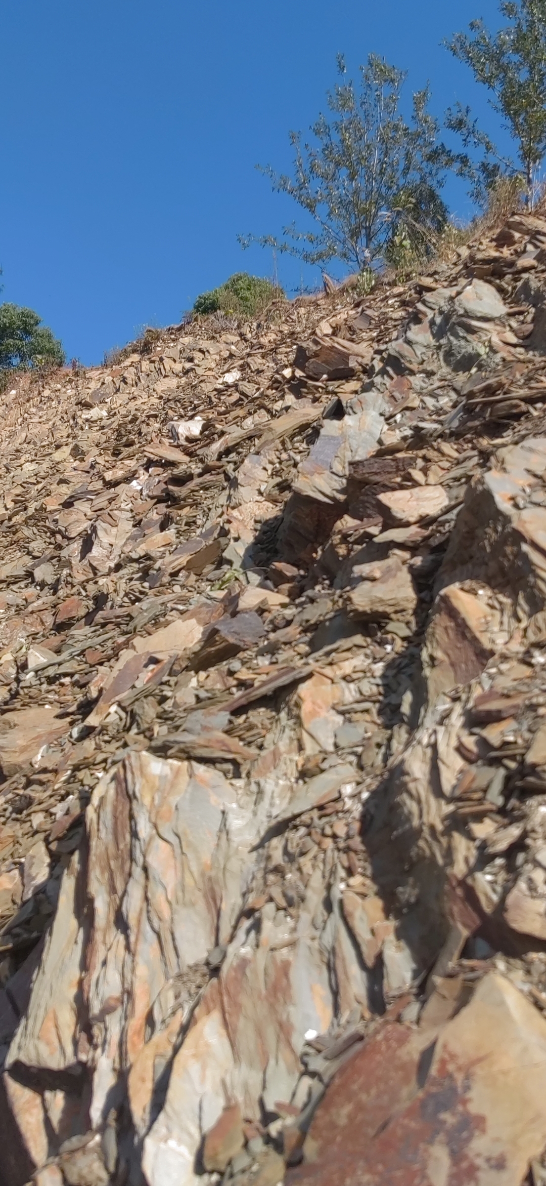 我们需要的是勇气,是智慧, 是不断探索和尝试的精神