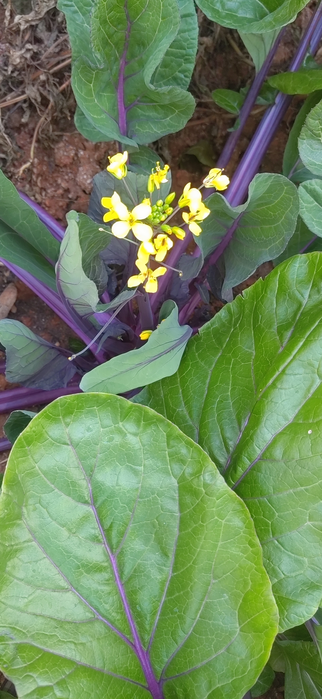 岁末年初,我们似乎总在追逐着些什么,或是事业上的