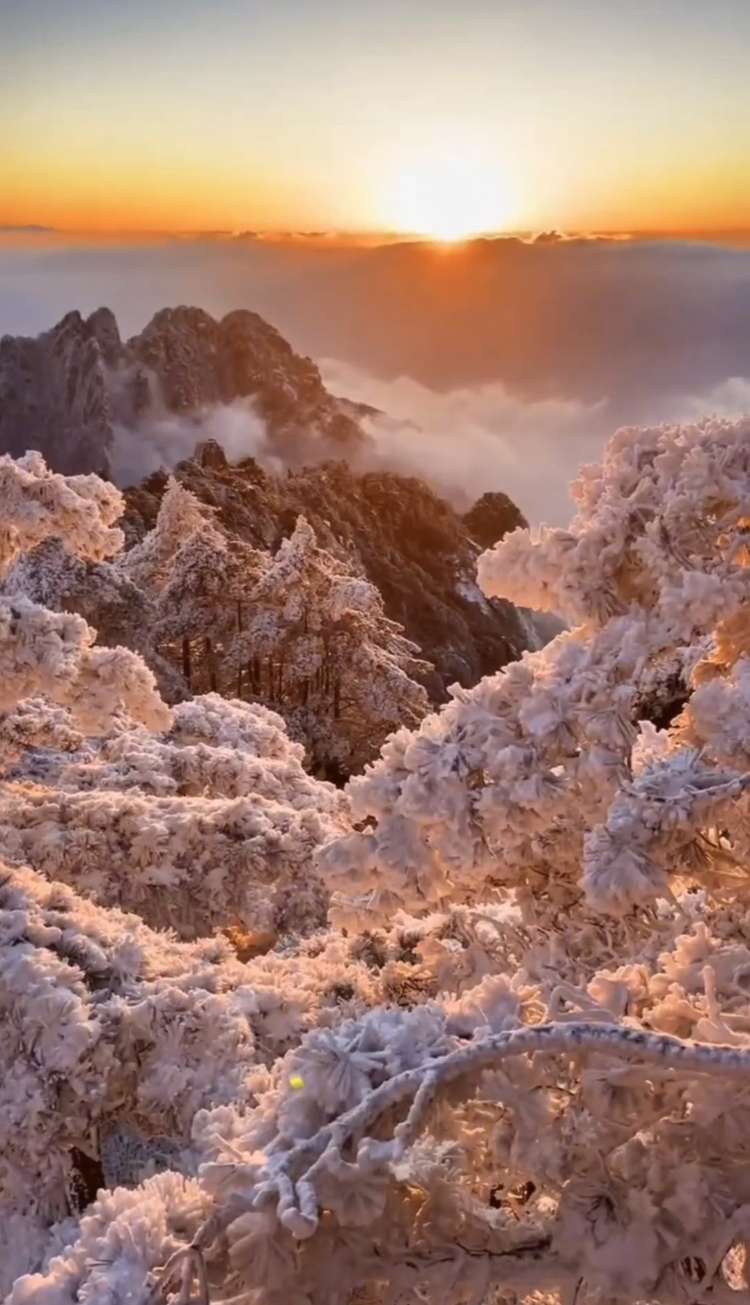 雪后黄山冰雪仙境图片