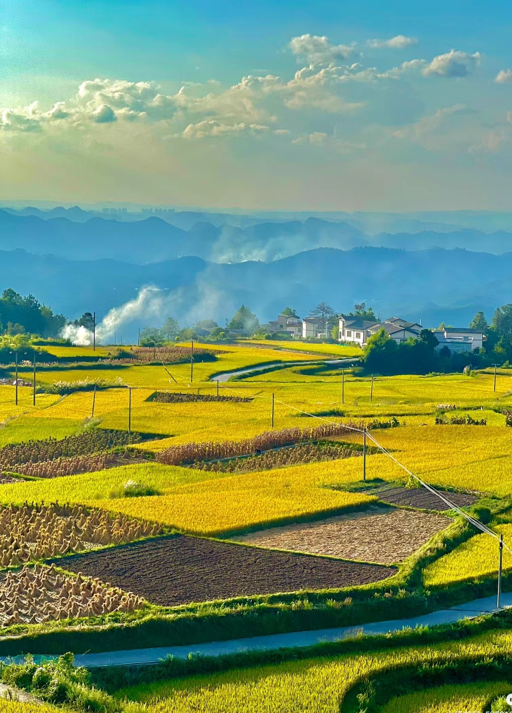 金秋图文动态创作节#稻谷飘香,秋风过处,五谷飘香,春耕夏种,秋收恫刎