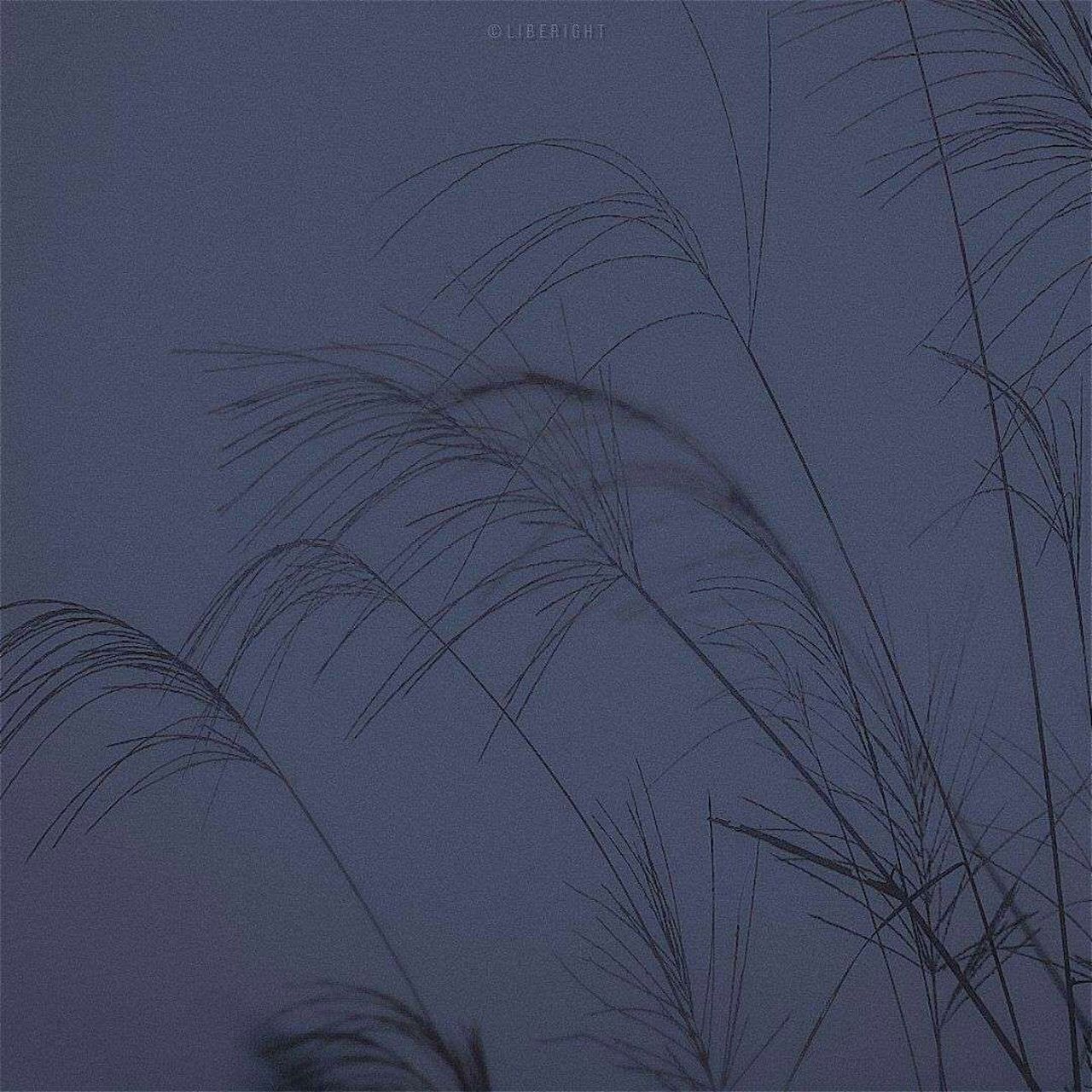 many a time prefer to be misunderstood  and i dont want to