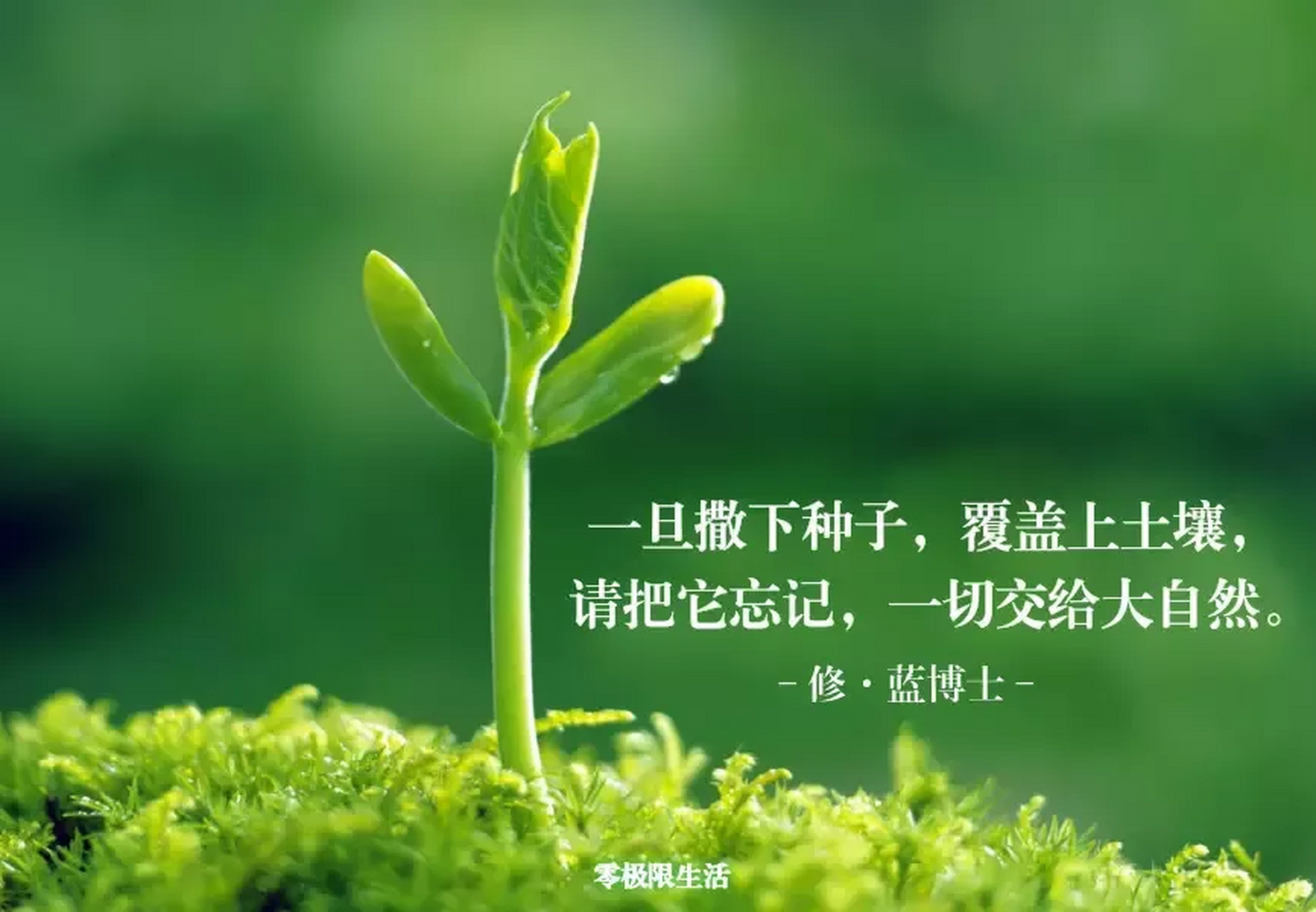 零极限 对不起请原谅谢谢你我爱你