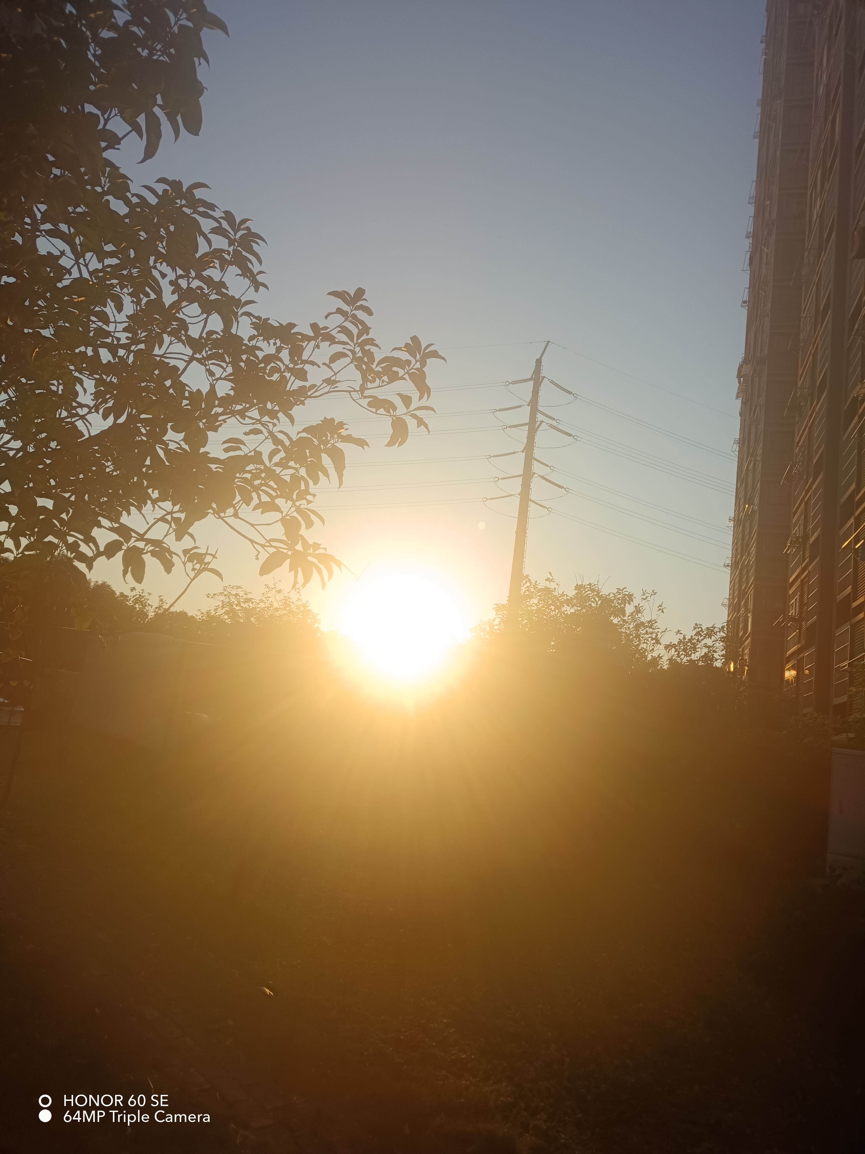 初冬的早晨,冷气吹过脸颊,已经有了冬天的感觉.