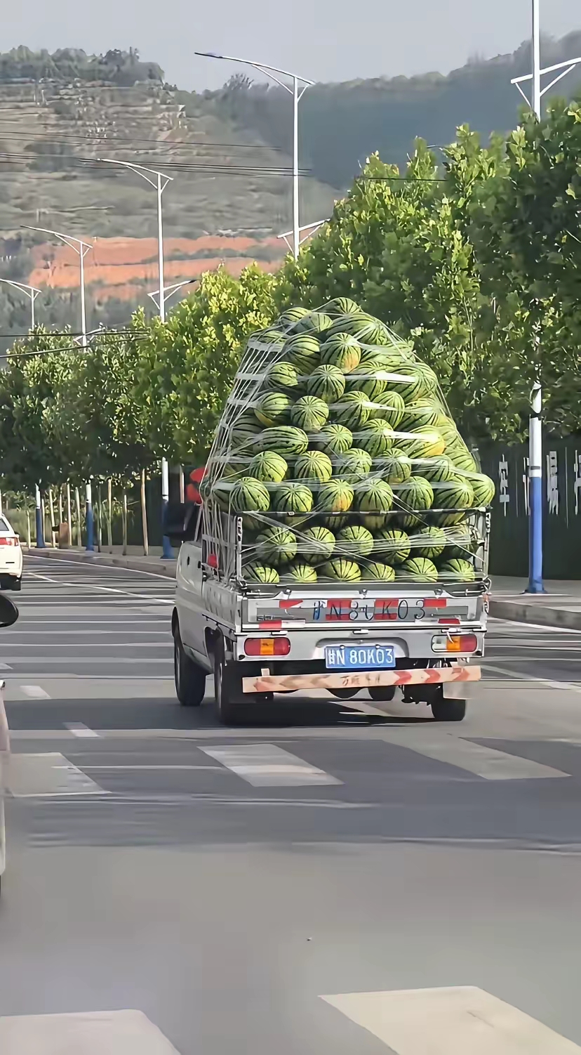 今天开车在路上遇到的一幕,属实把我震惊了,我觉得司机卖西瓜真的是