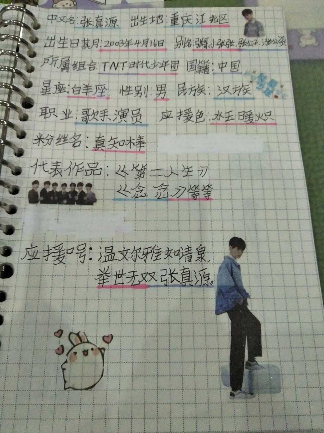 张真源手帐