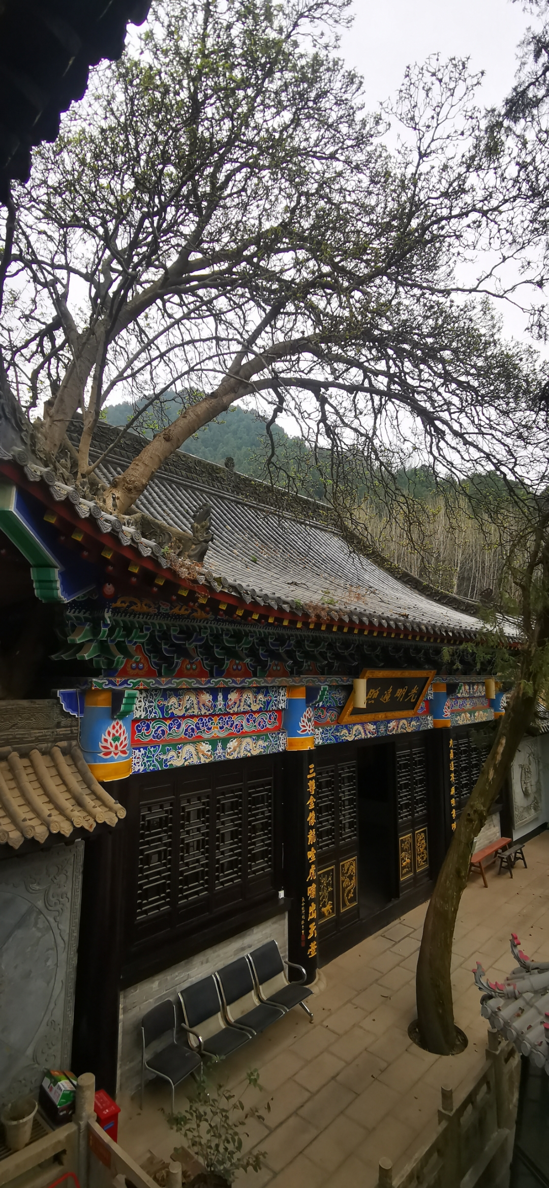 长安弥陀古寺,位于西安长安区南五台景区星火村,始于隋兴于唐,里面