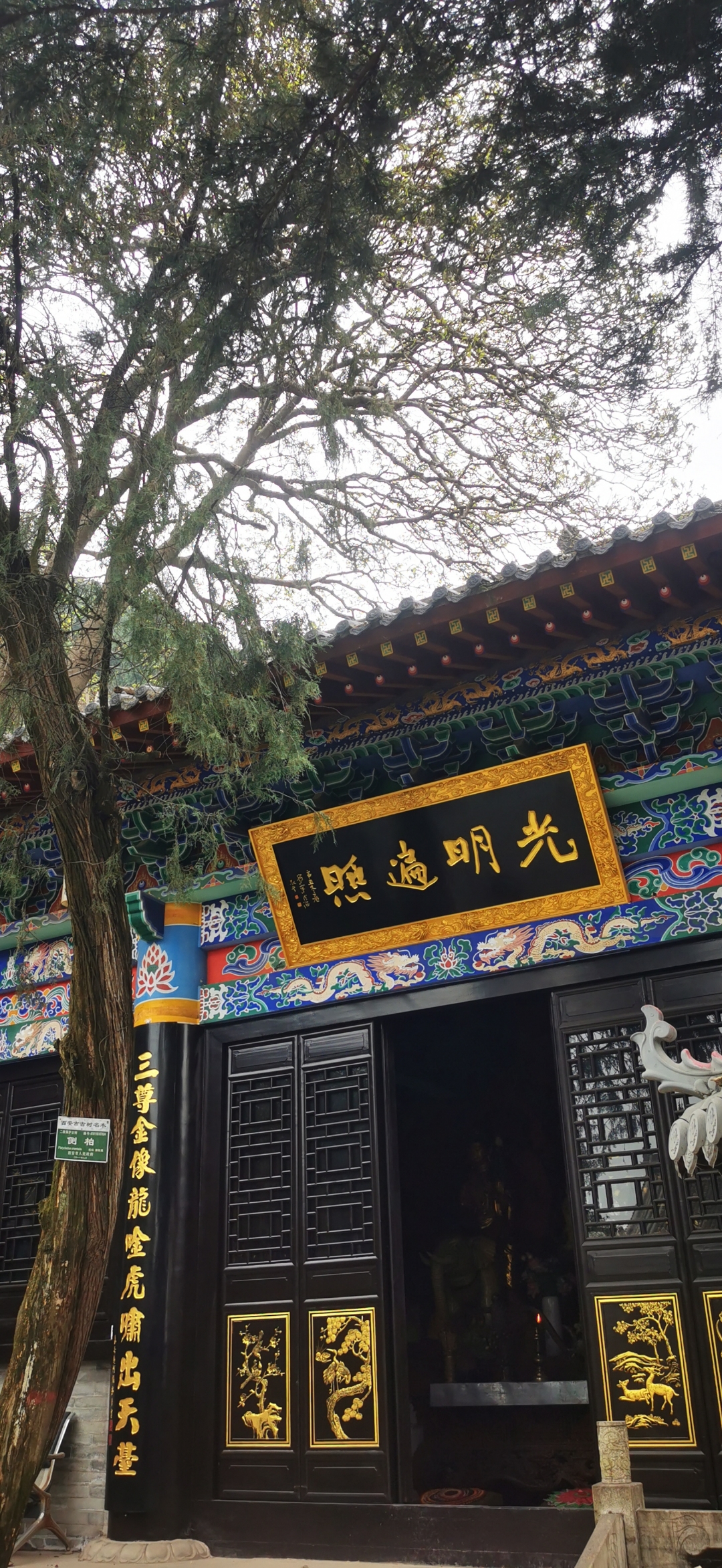 长安弥陀古寺,位于西安长安区南五台景区星火村,始于隋兴于唐,里面