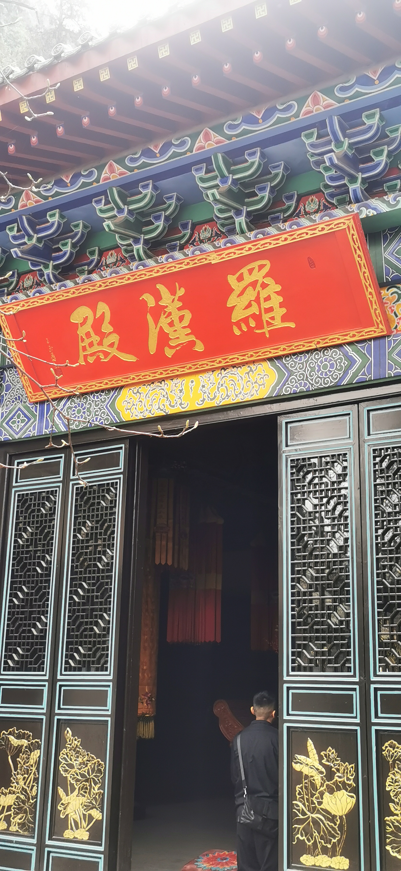 探访弥陀古寺,赏320年玉兰花94
