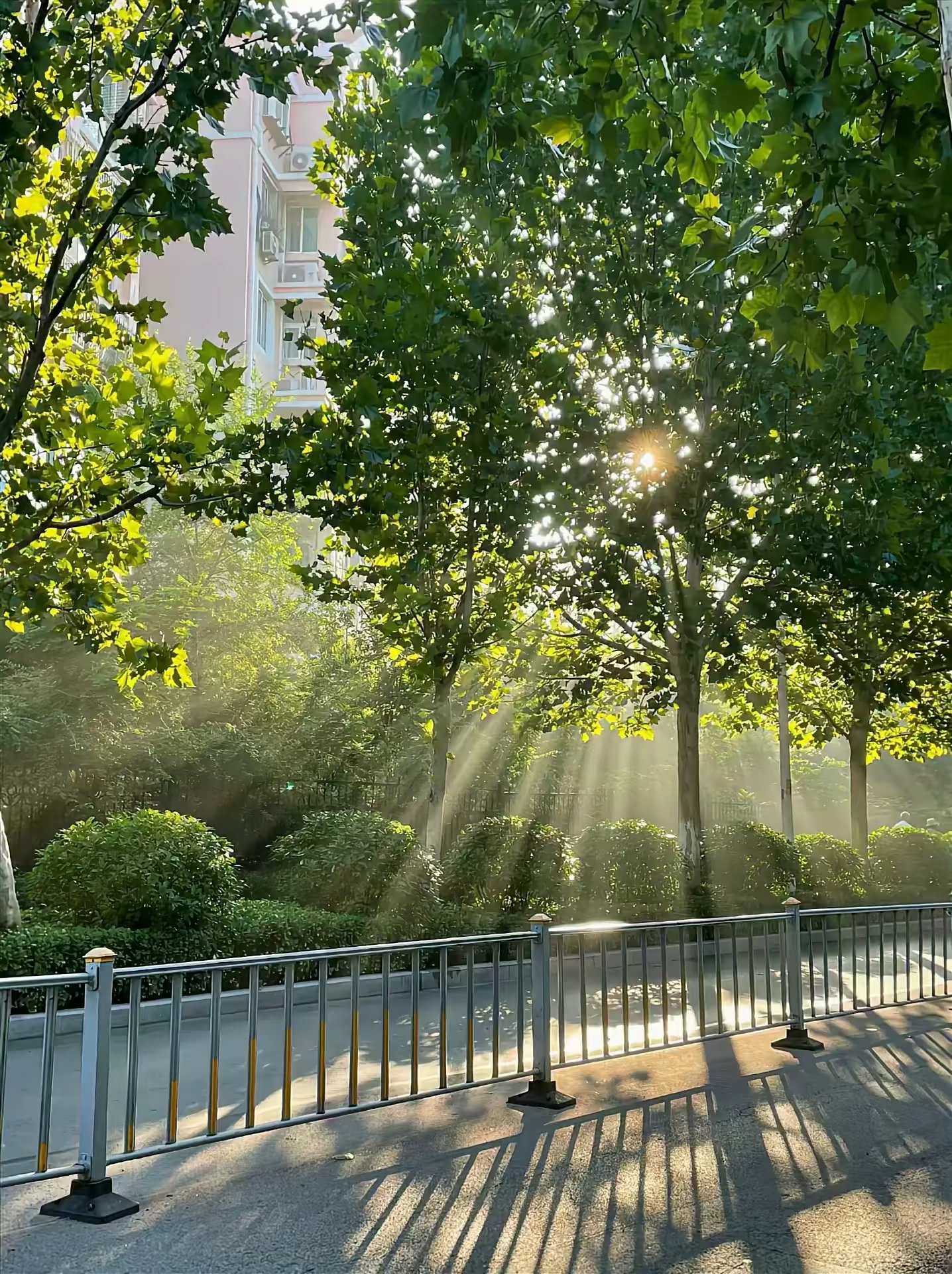 阳光正好,微风不燥,今天的心情就像这晴空万里,一片明朗.