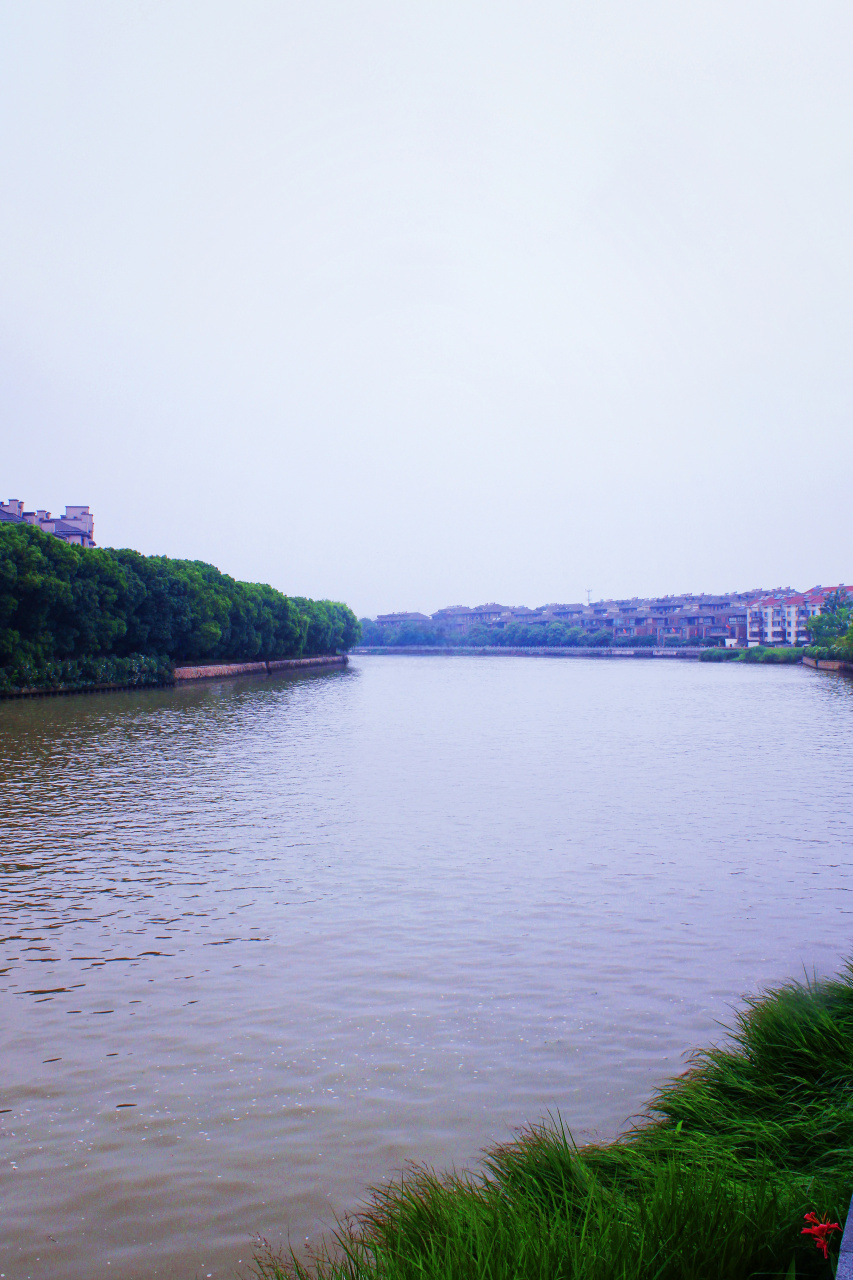 摄影爱好者联盟# 端午以后错峰出游去了德清县新市镇,虽然我去过新市