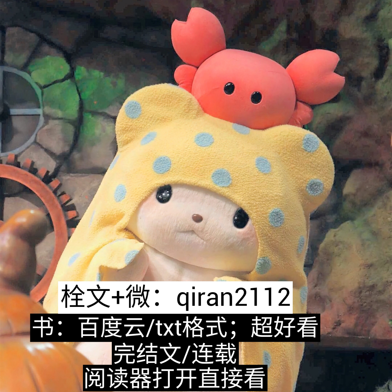 《抑制剂的副作用》陆川郁书by栖鹤(全章节)《抑制剂的副作用》陆川郁