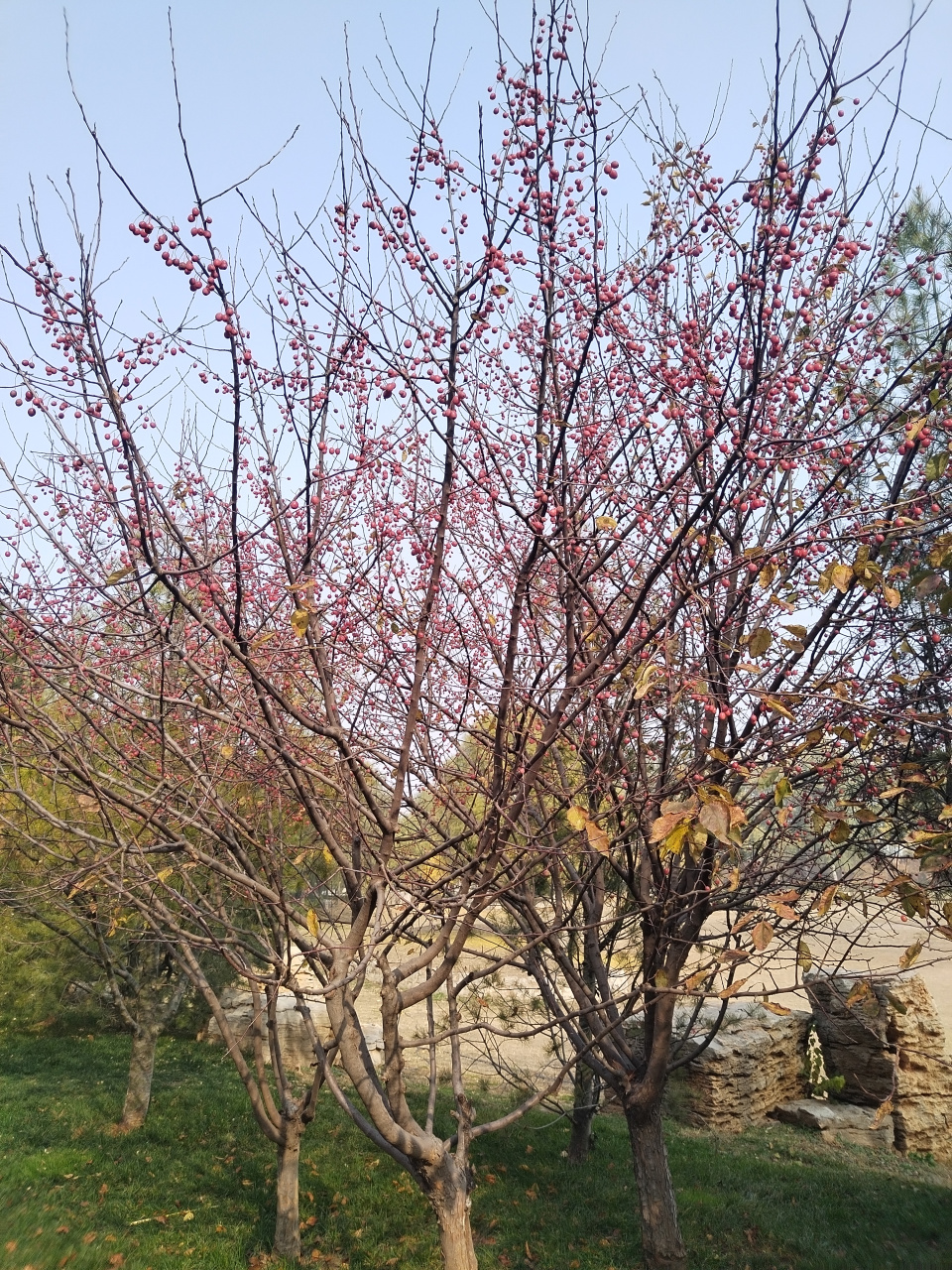 人活着要明白:靠谱的人不会轻易许诺,许下便会做到,靠谱的人也不会