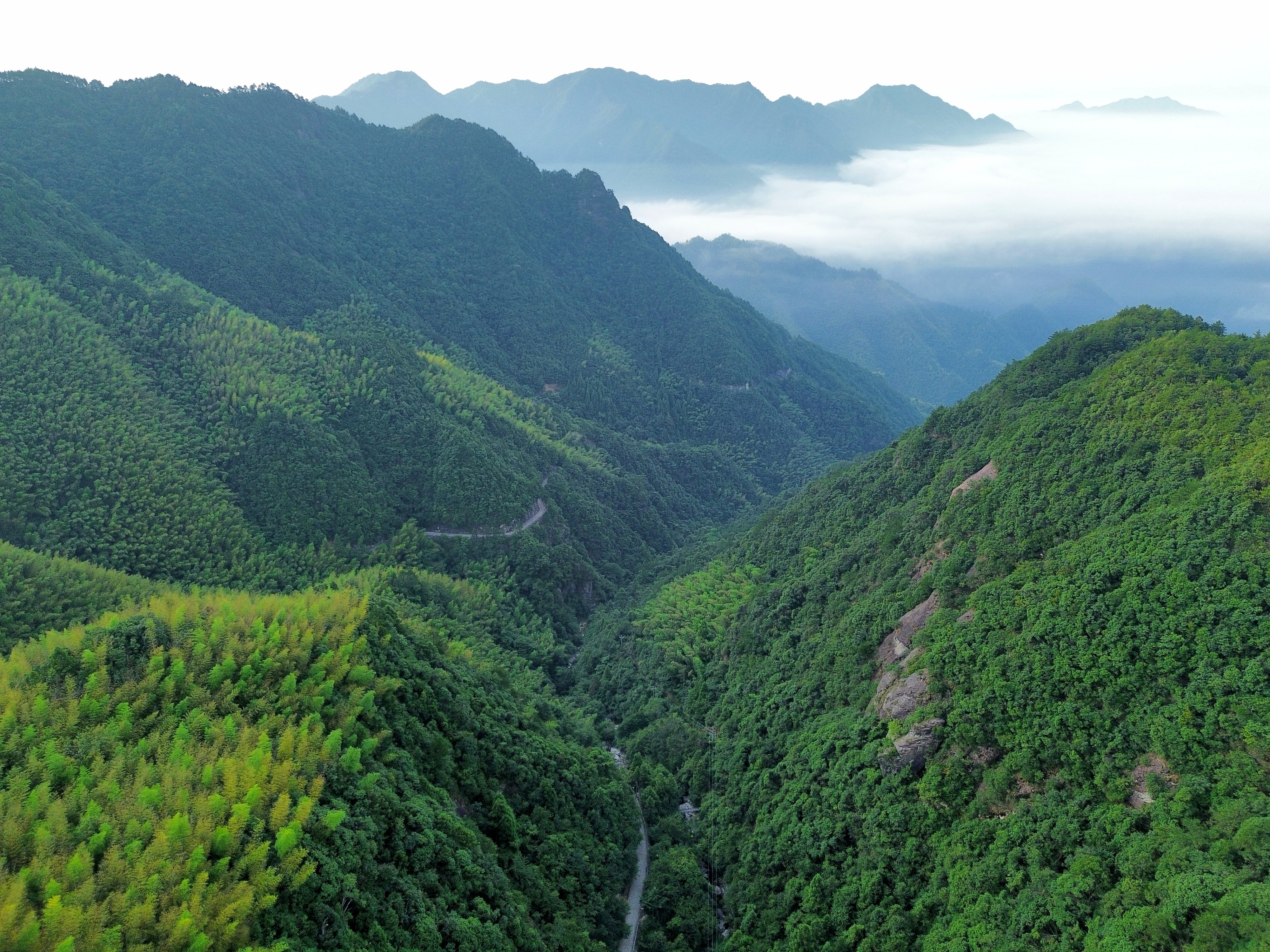 丽水海拔千米的山区,清晨时分,青山巍峨,云雾缭绕,美不胜收.