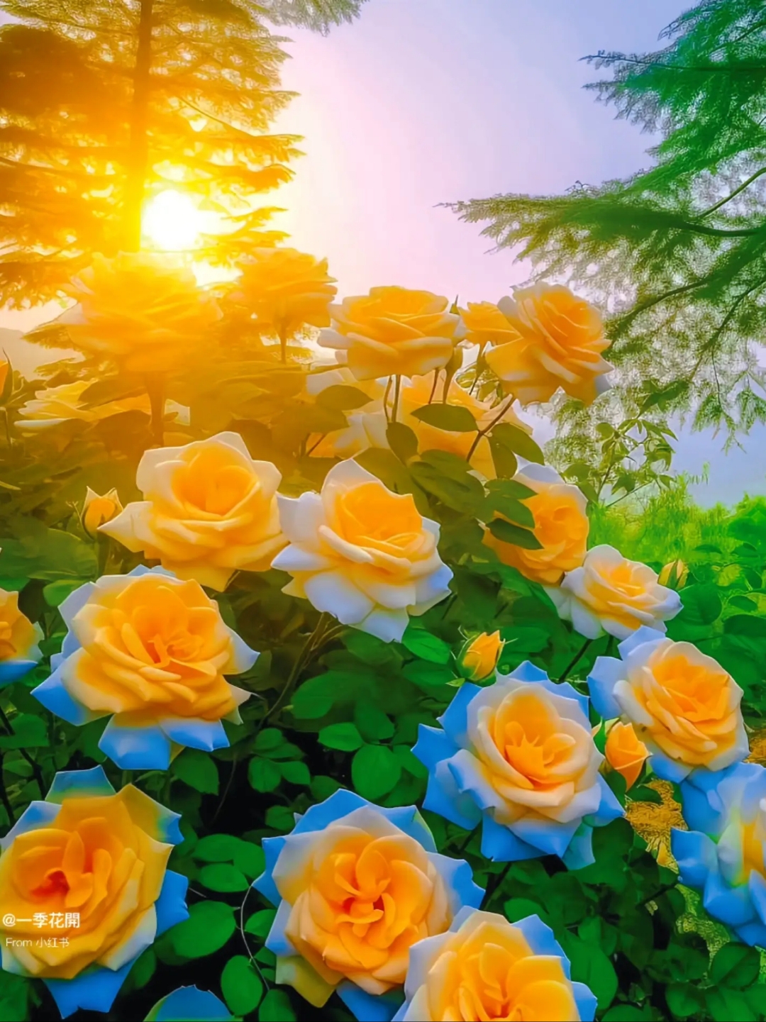 快来一起云赏花吧!#花海美图