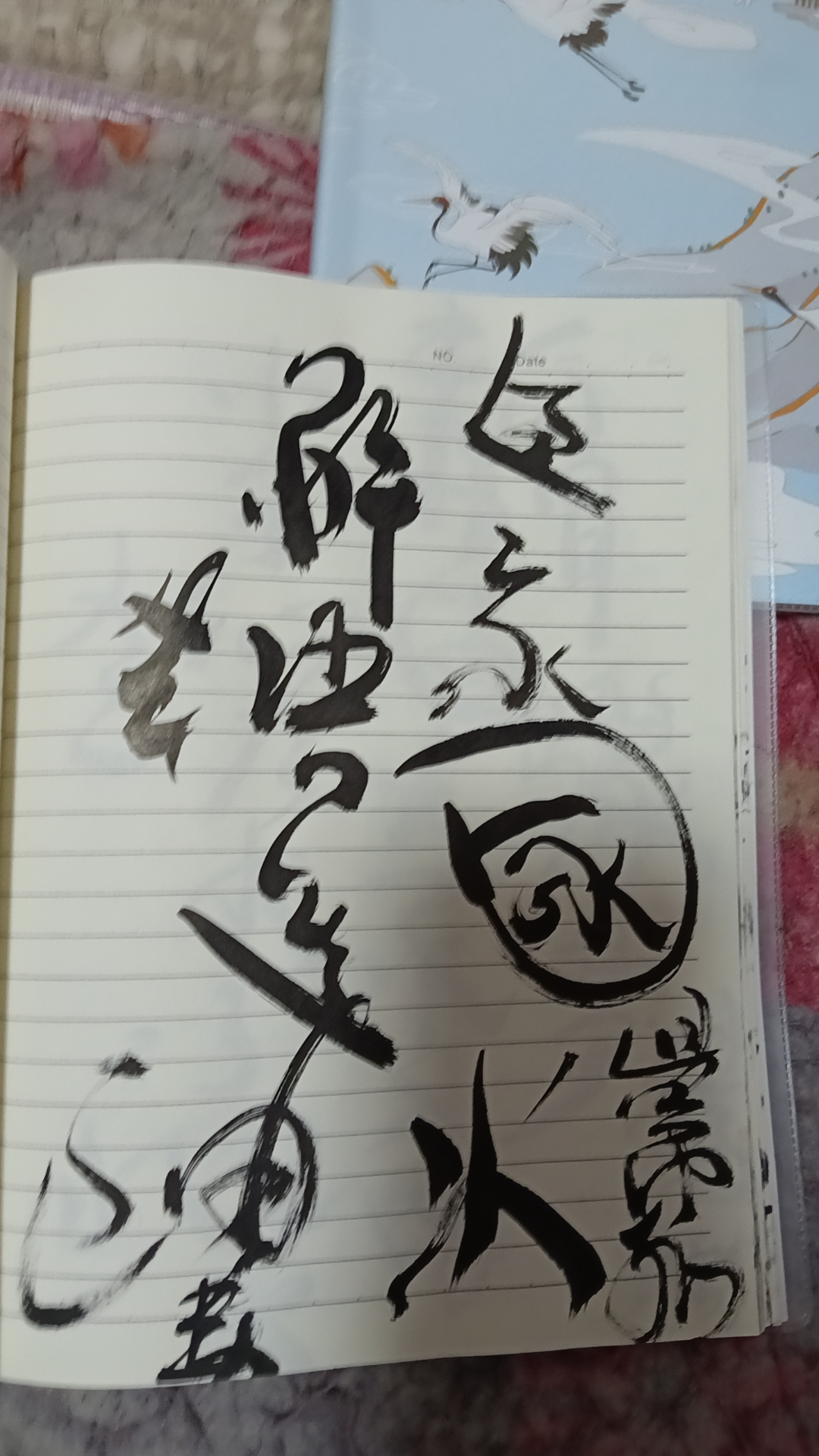 📒黑墨随笔,揭秘模糊字迹下的秘密日记✨  这本笔记本,仿佛带我