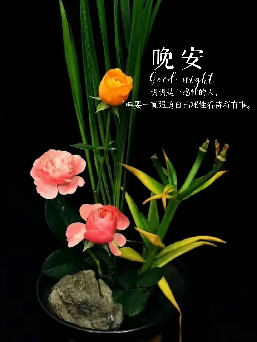 晚安,好梦.愿你有个甜甜的美梦,带着花香.#人生感悟# #ai绘画# #晚安