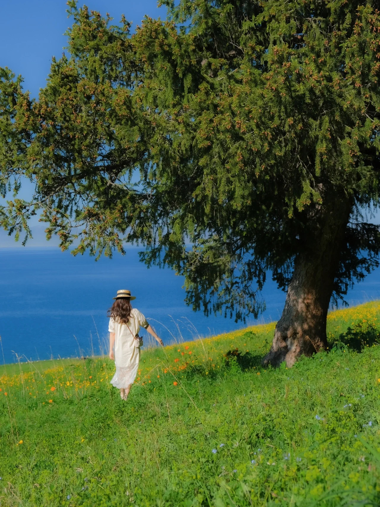 评一种社会现象: "钱都流向了不缺钱的人, 爱都