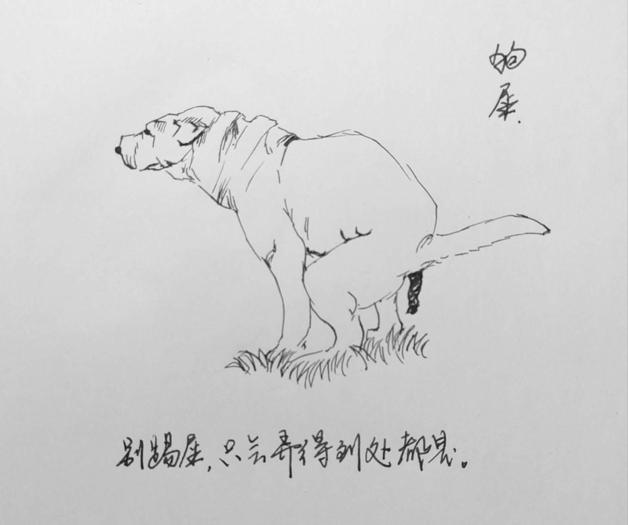 狗屎素描图片