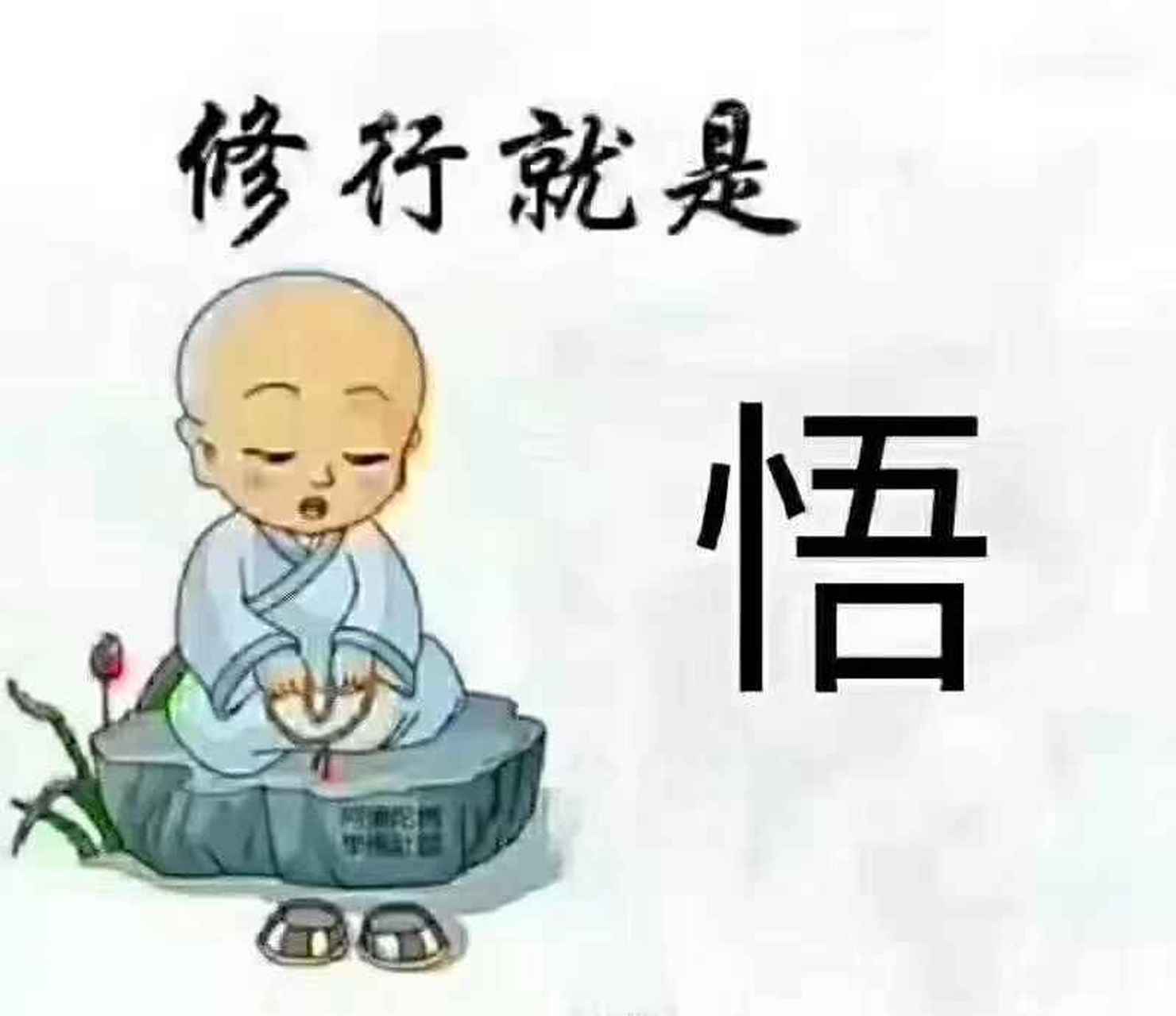 慧律法师开示:今天的因缘果报,都是宿世恶业所感,所以不要怨恨,不要