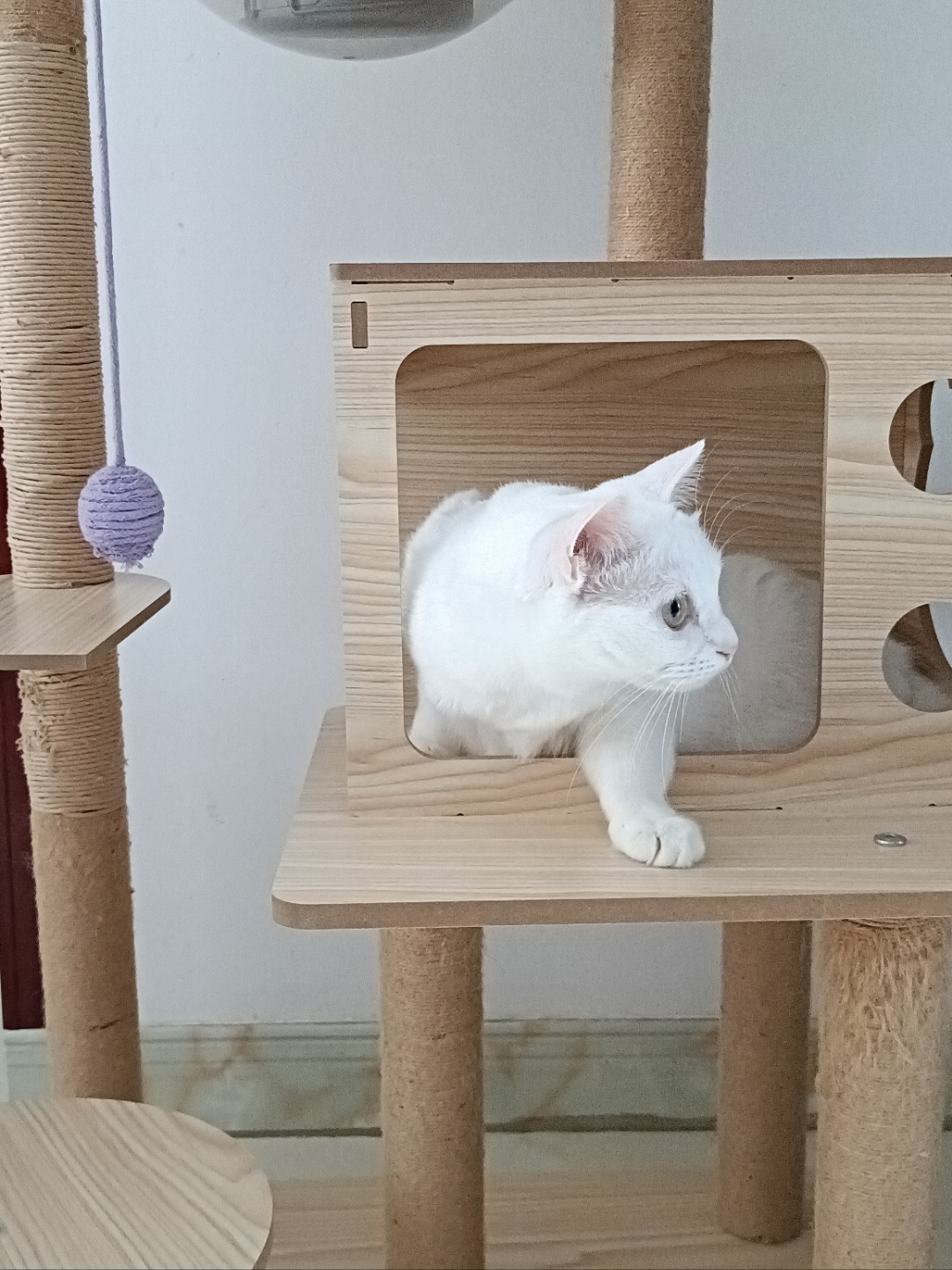 想着眯一会,咋听着有响动呢