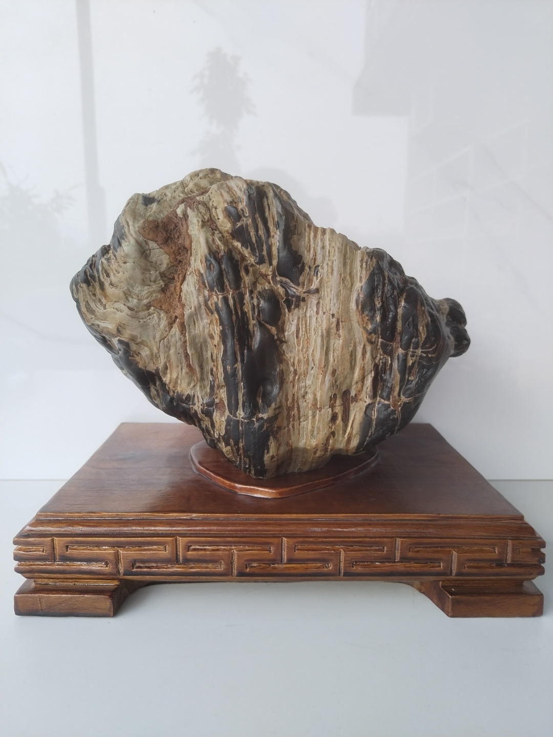 奇石# 分享 主题:《卷纹石》 编号:133彩釉石