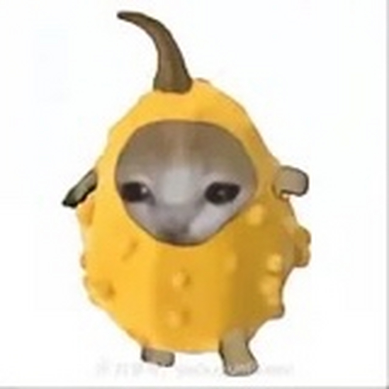 趣图搞笑# 香蕉猫和他的朋友们2,你最喜欢哪个?