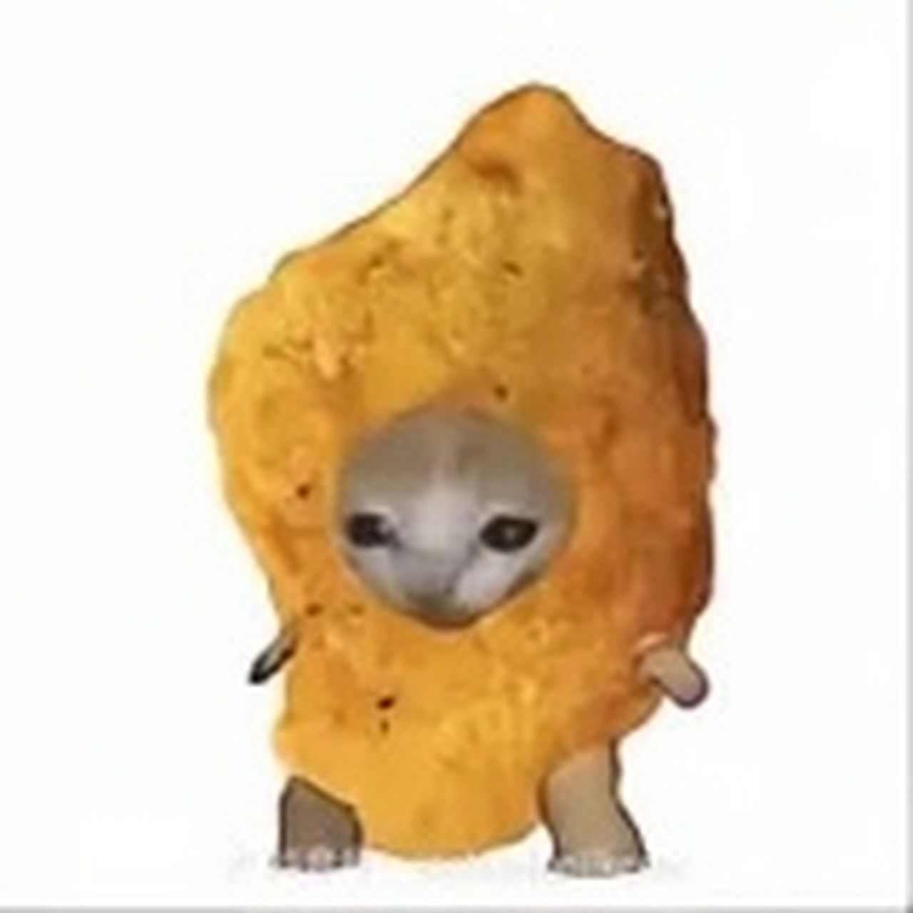 趣图搞笑# 香蕉猫和他的朋友们6,你们最喜欢哪一个呢?欢迎评论哦!