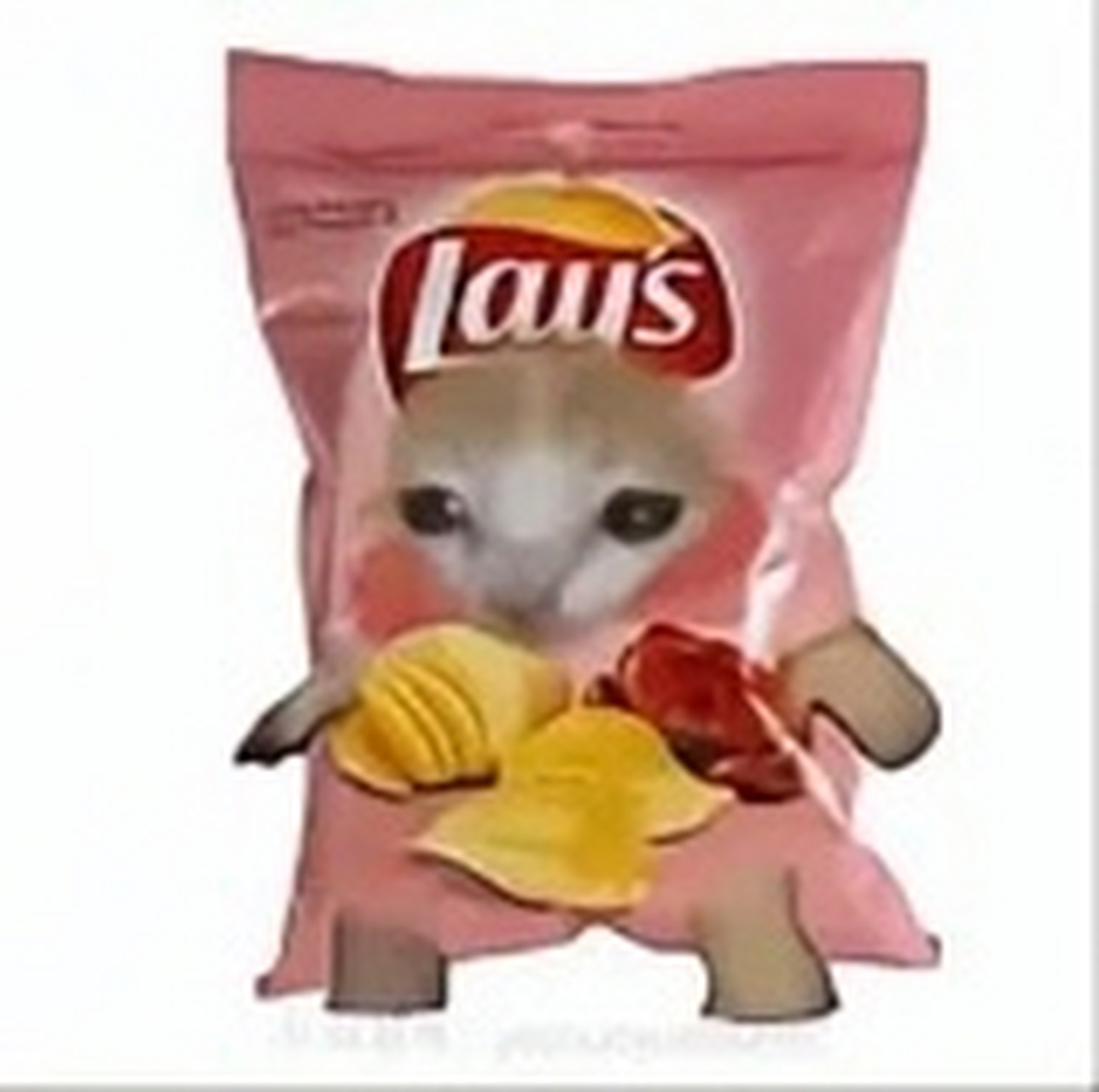 趣图搞笑# 香蕉猫和他的朋友们4,你们最欢哪个?