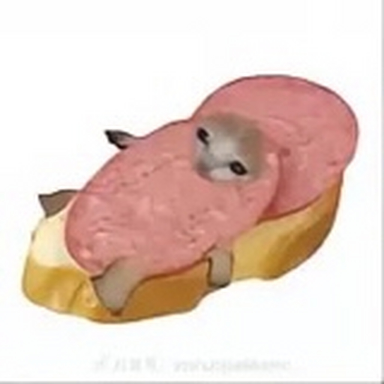 趣图搞笑# 香蕉猫和他的朋友们4,你们最欢哪个?