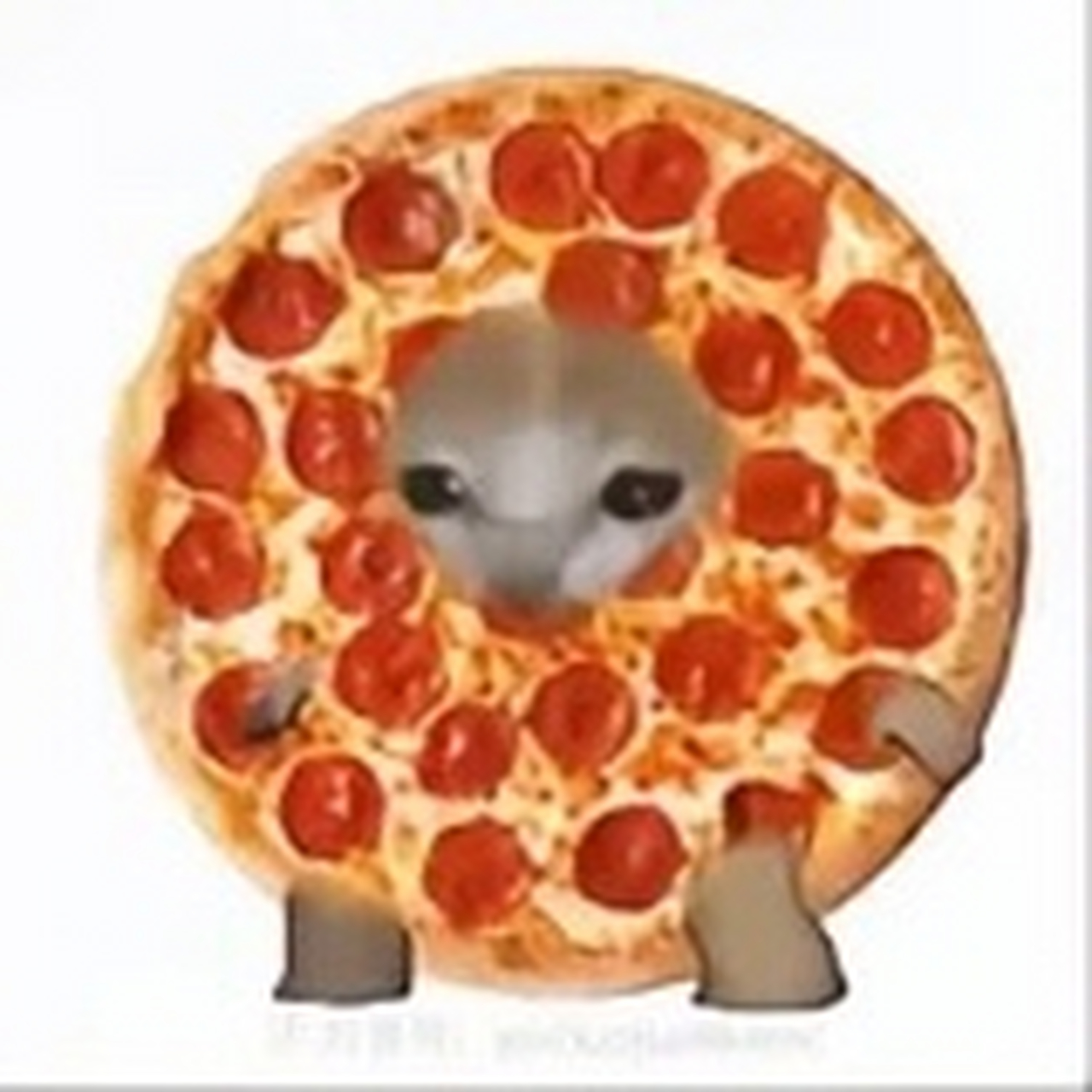 趣图搞笑# 香蕉猫和他的朋友们6,你们最喜欢哪一个呢?欢迎评论哦!