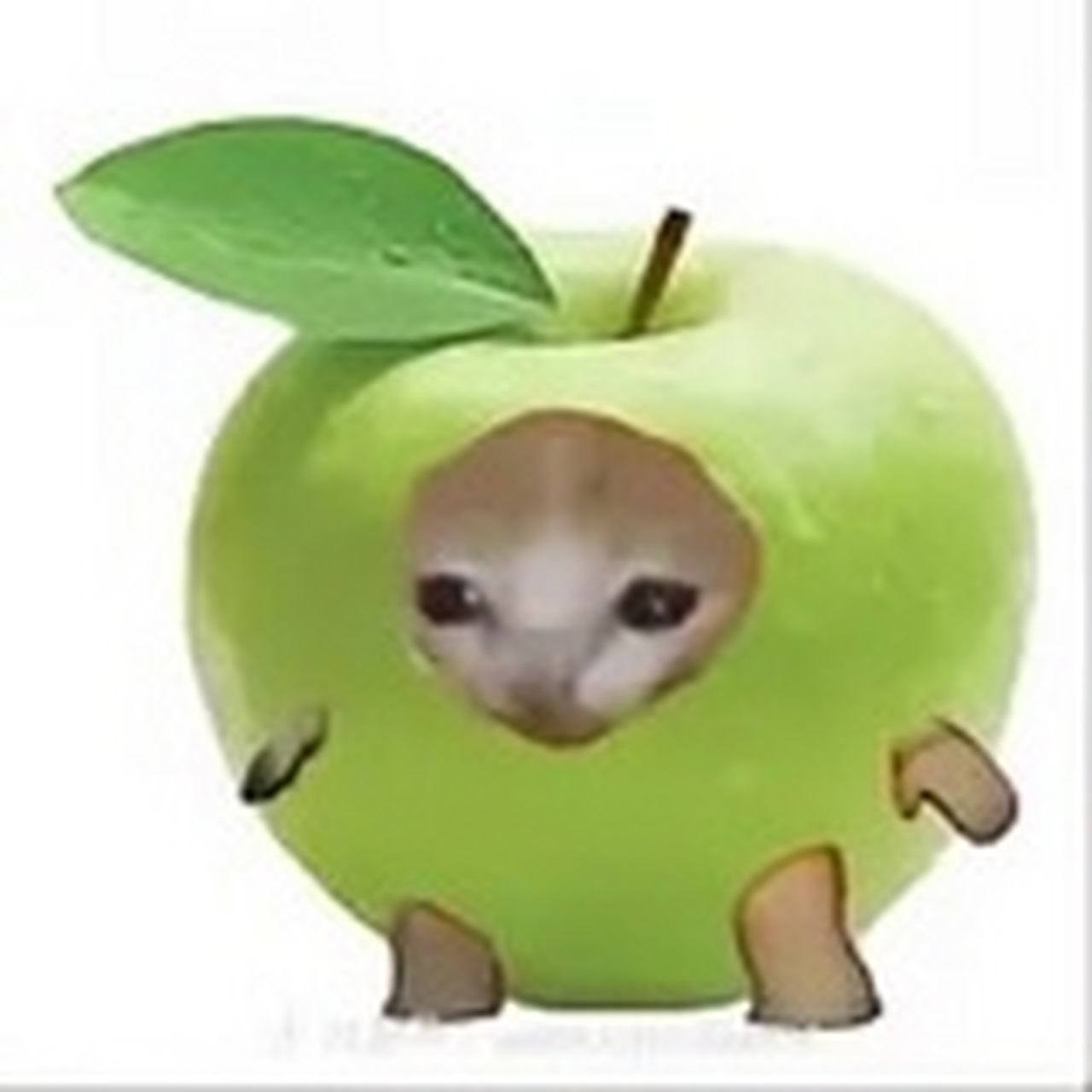 趣图搞笑# 香蕉猫和他的朋友们6,你们最喜欢哪一个呢?欢迎评论哦!