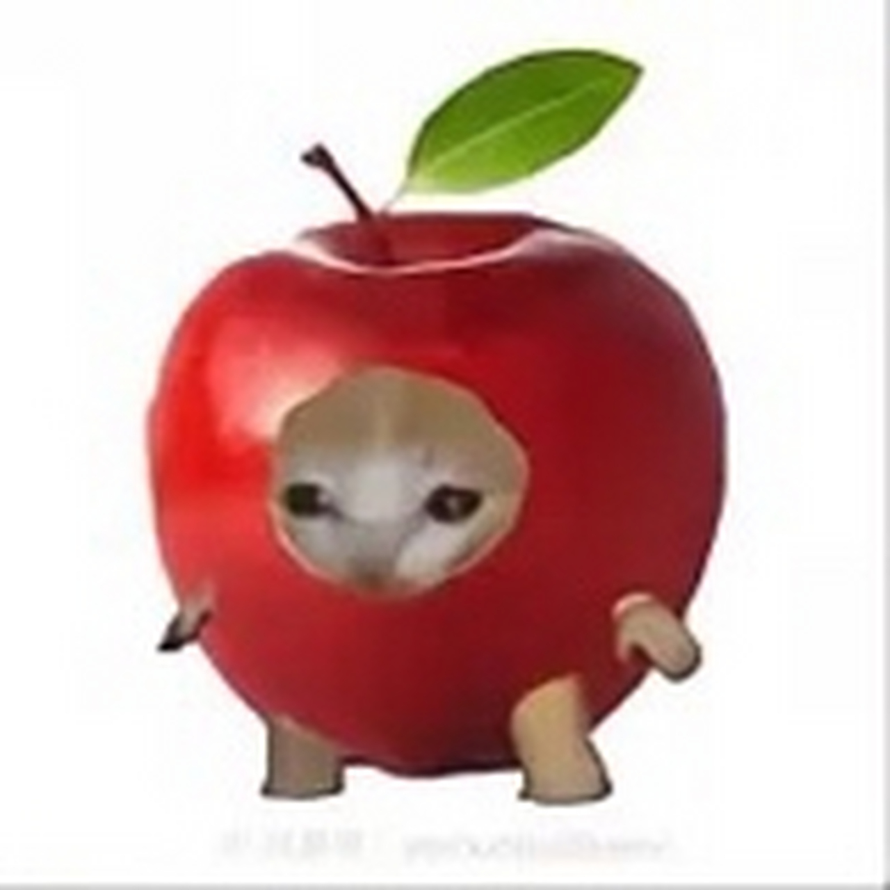 趣图搞笑# 香蕉猫和他的朋友们!
