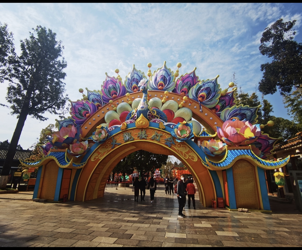 大观公园里这彩色拱门太吸睛,满是莲花等造型,好多人来来往往,热闹又