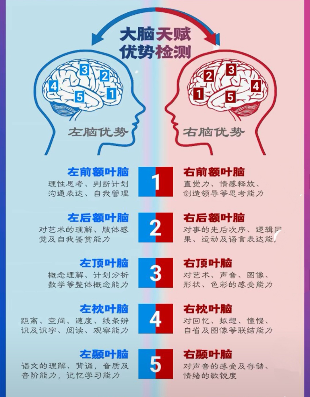 左右脑功能图 右手拇指:内省,管理 这里指有关如何建构自我的反省能力