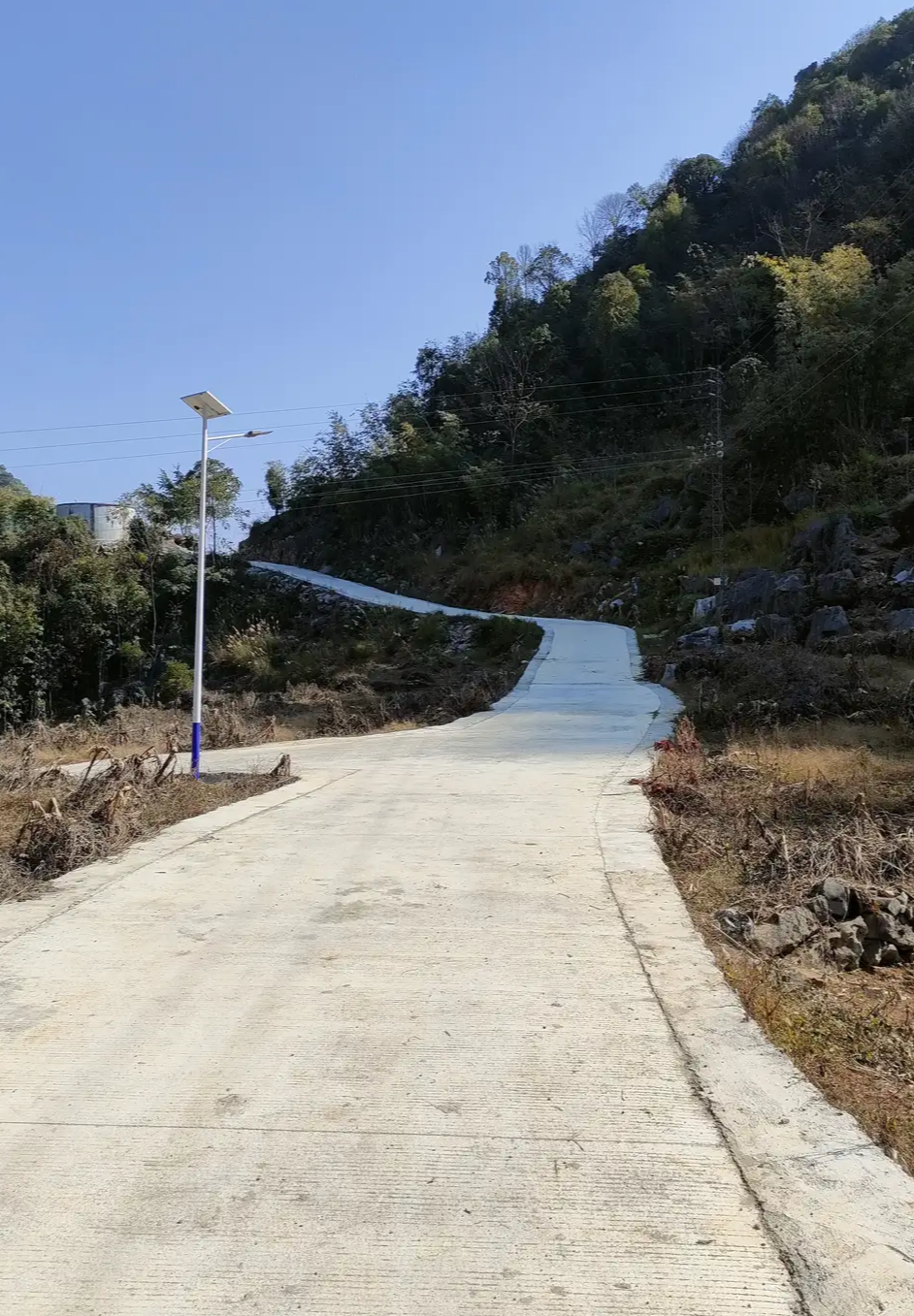 新年文案创作赛#世界上唯一可以不劳而获的是贫穷