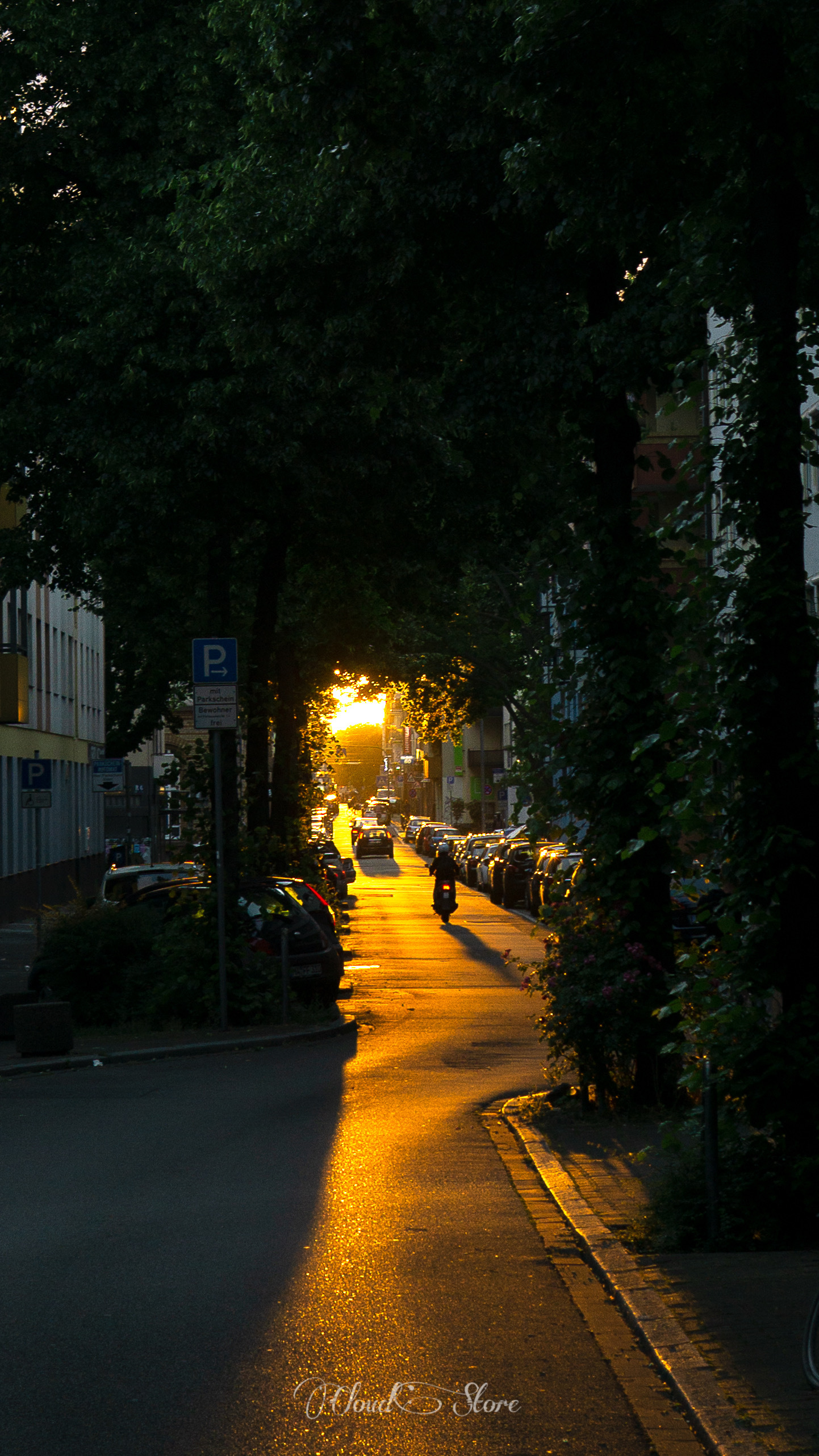 日落跌进昭昭星野,人间忽晚,山河已秋 晚风轻踩着云