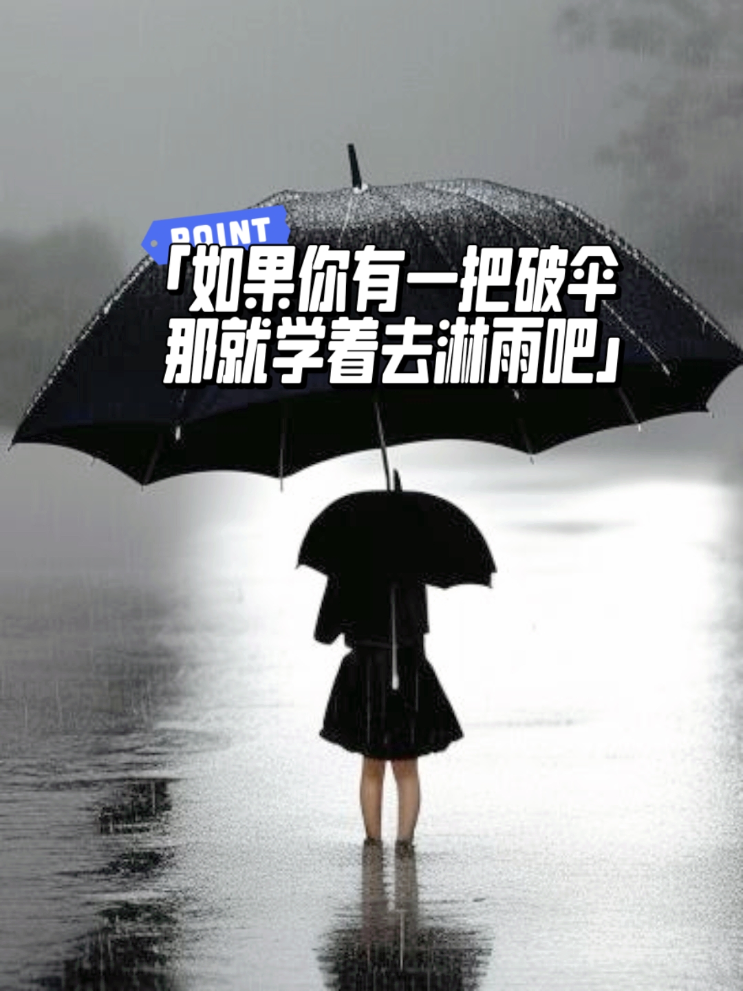 寻找雨水图片