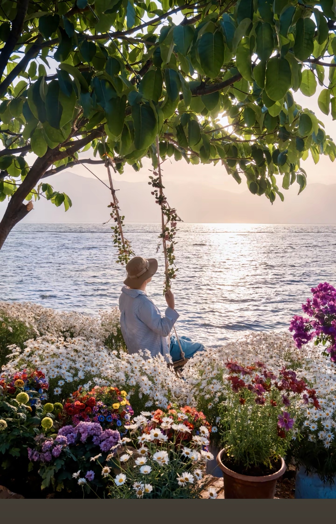 海风轻拂,海边的野花肆意绽放,五彩斑斓