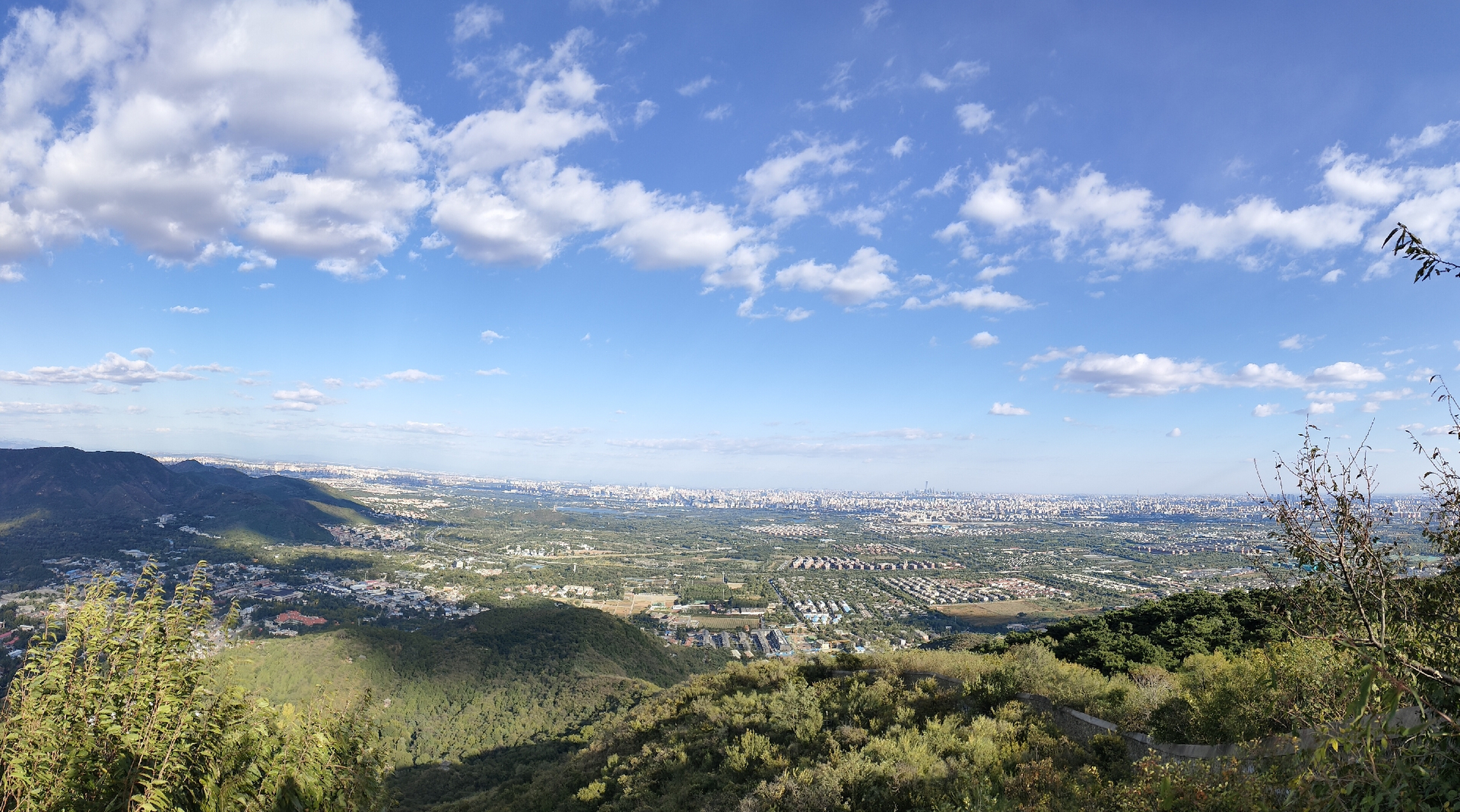 [鲜花]今天太阳很好,阳光灿烂,晴空万里,白云朵朵,昨晚的风把天空的