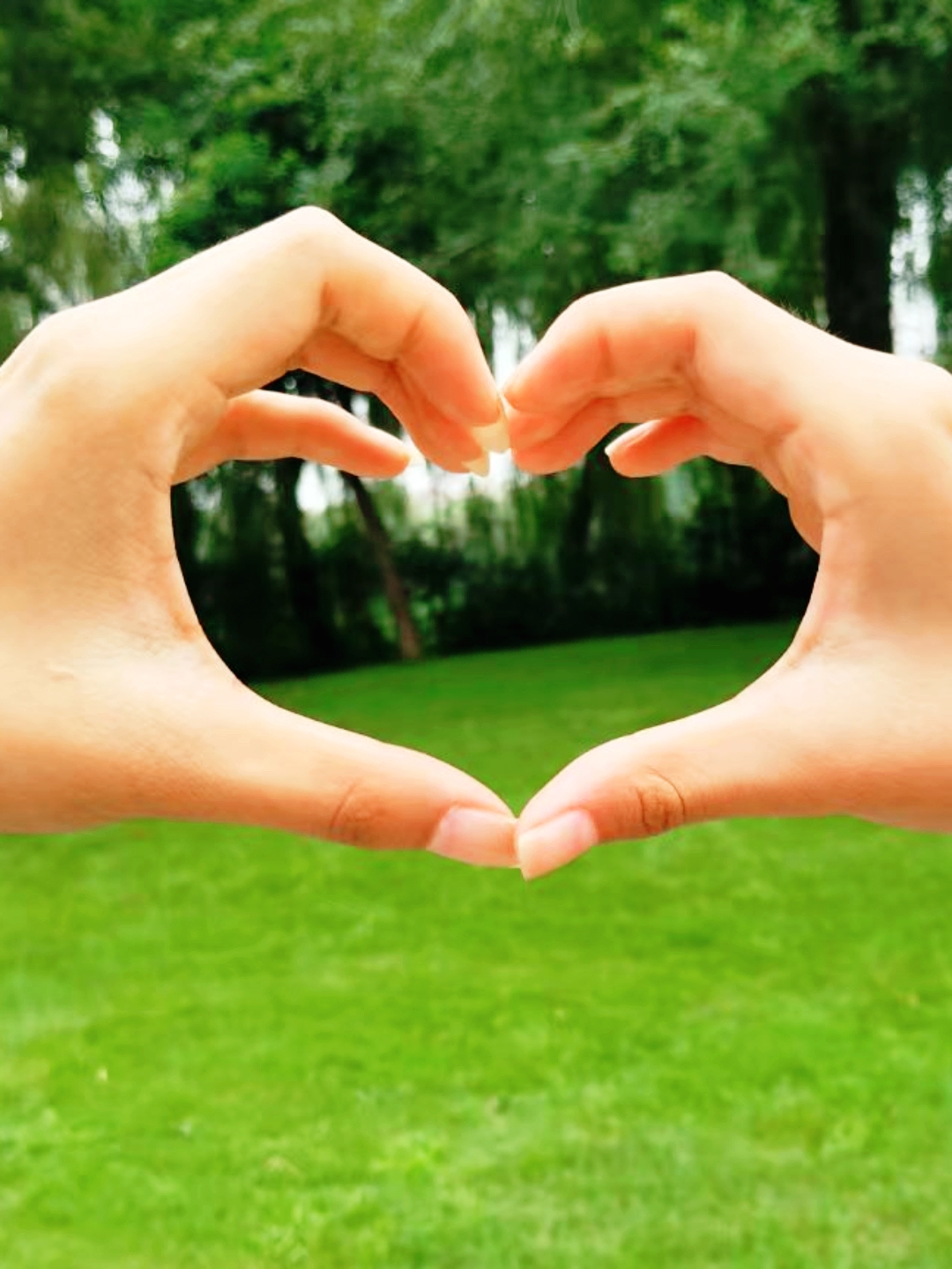 心形手势比出爱的宣言,绿意盎然中传达情感的真谛
