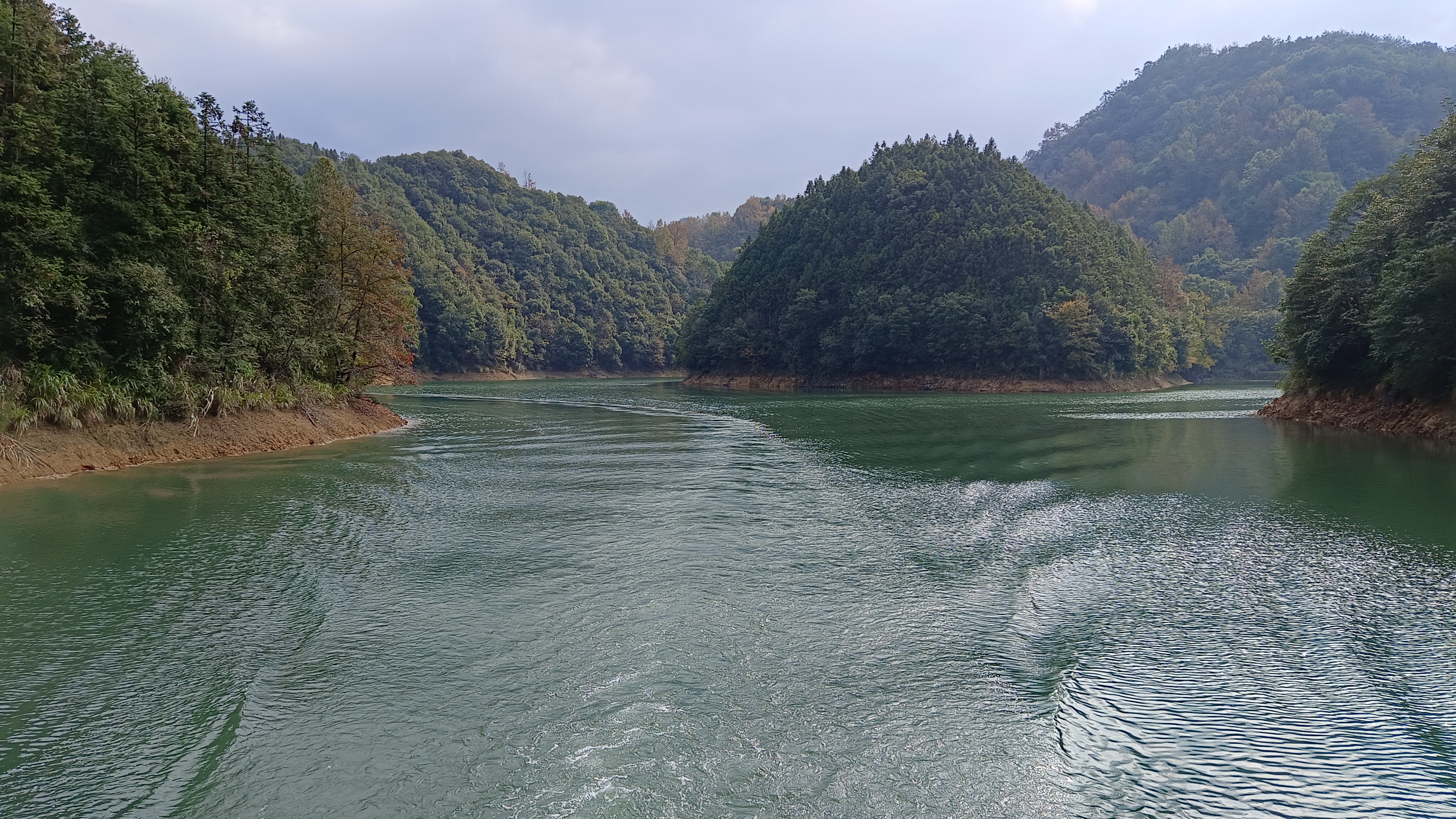16/:龙川湾景区是千岛湖中唯一的湖泊型湿地,整个景区面积约2.