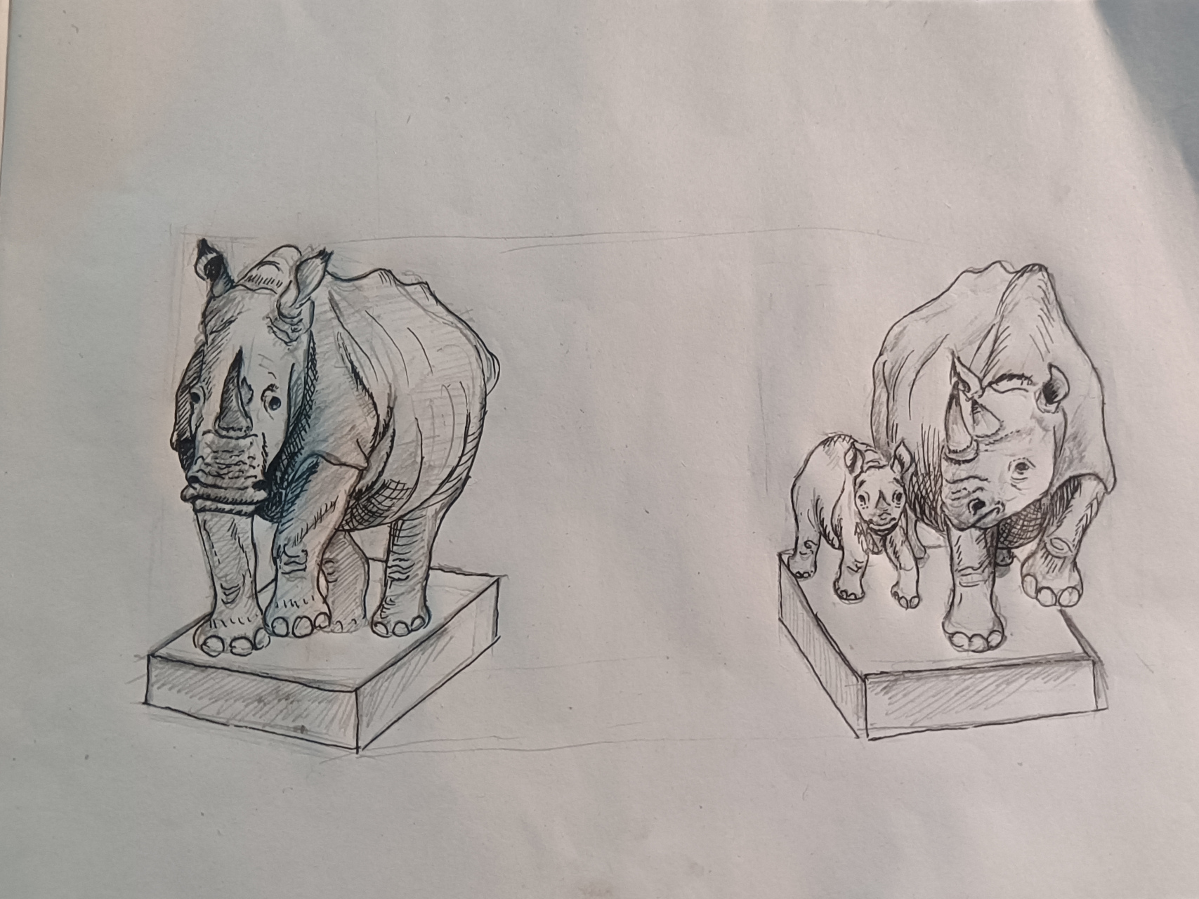 画了犀牛一家子