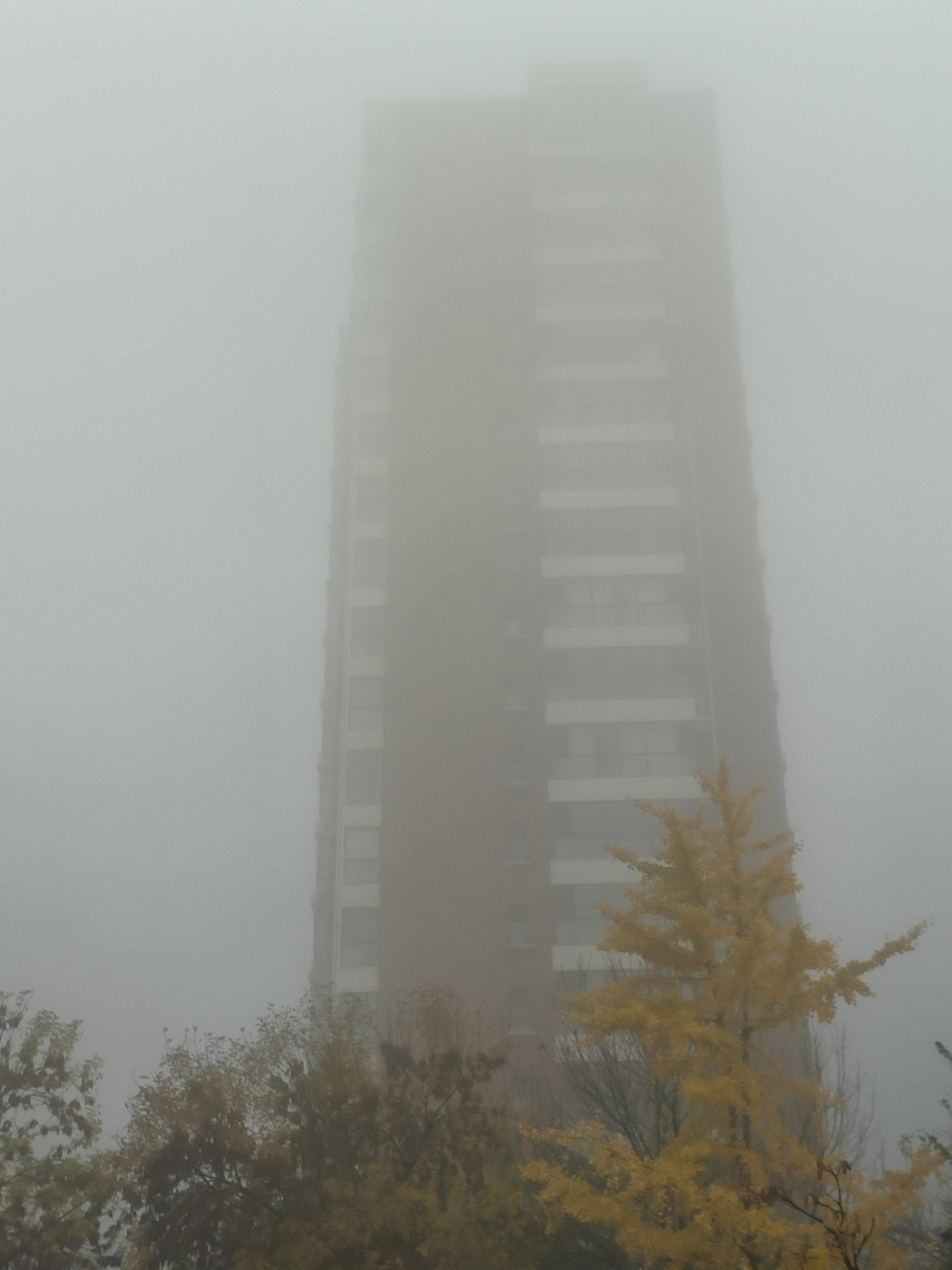 今早上醒来,迎接的不是往常.@源远流长爱生活的动态