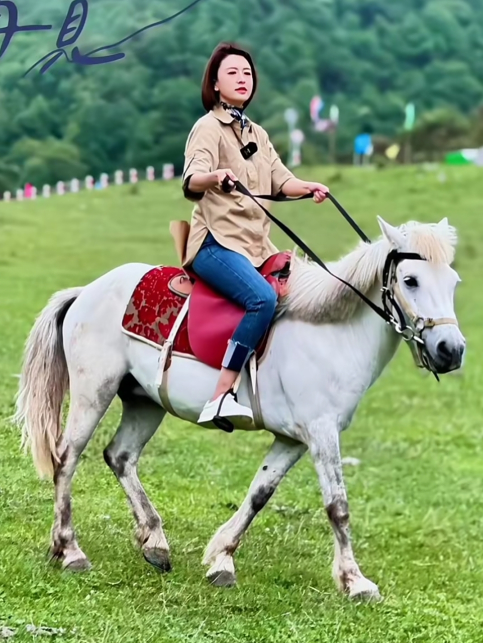 央视美女主持人张蕾去陕西旅游,骑马看猪体验现实的牧人生活,淡出主持