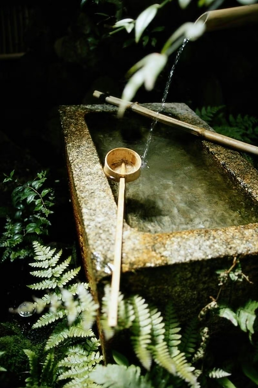 我的生活禅#  学习的最高境界——悟. 做人的最高境界——舍.