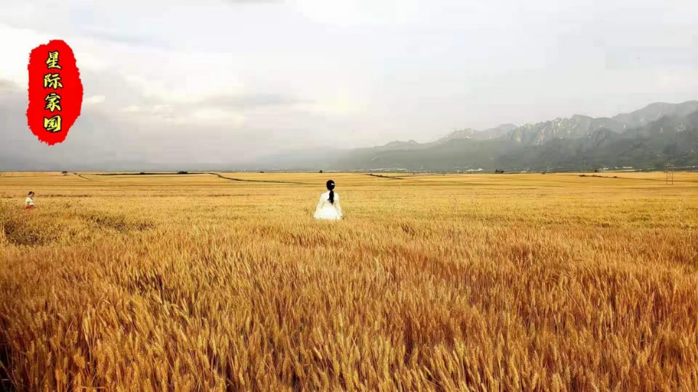 马蒂斯说:"一个艺术家应该毕生都善于用儿童的眼睛观察世界".