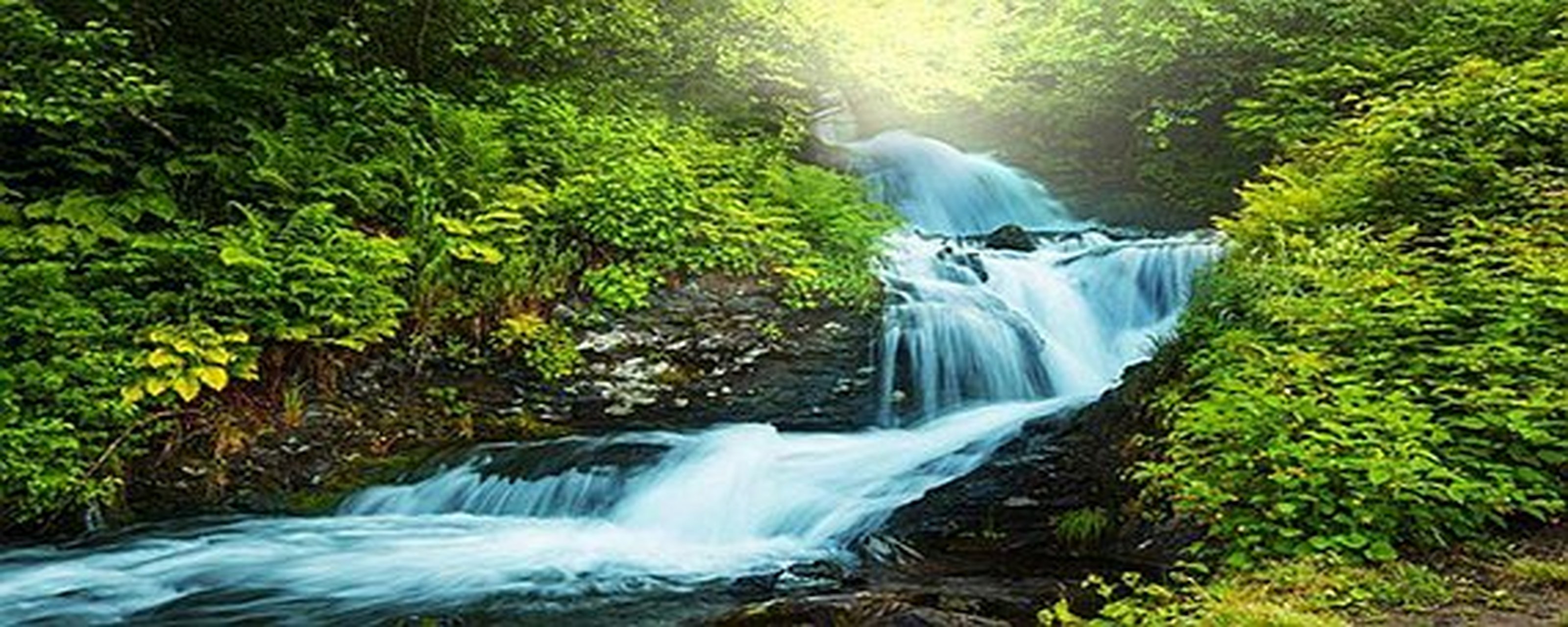 篱外桃花开几许 山间流水泄浓夏